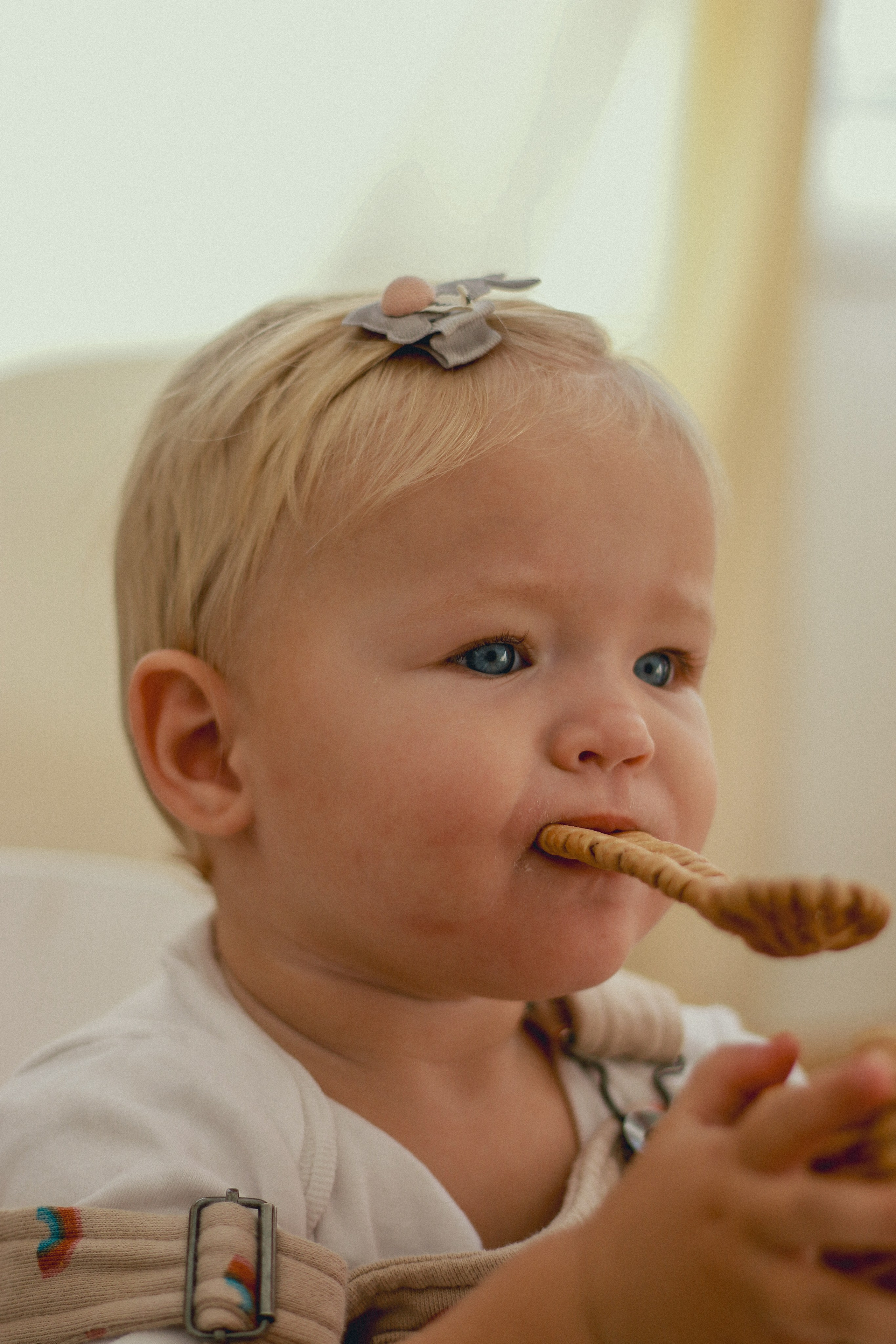 Годик Миры. Фотограф Краснодар