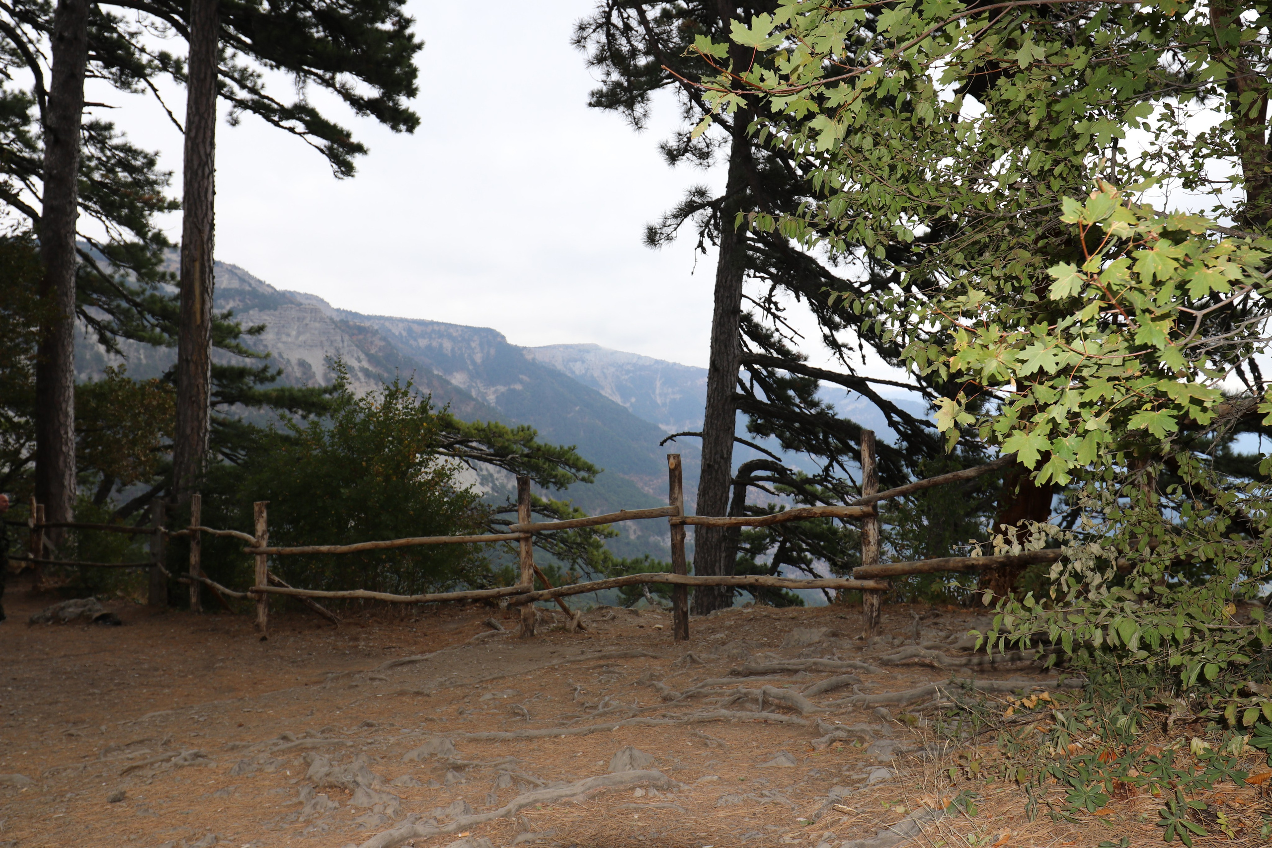 Крым. ЮБК (Фиолент, Ай-Петри, Роман-Кош). Знакомство. Октябрь 2017. Путешественник-фотограф из Санкт-Петербурга Татьяна Свистулина