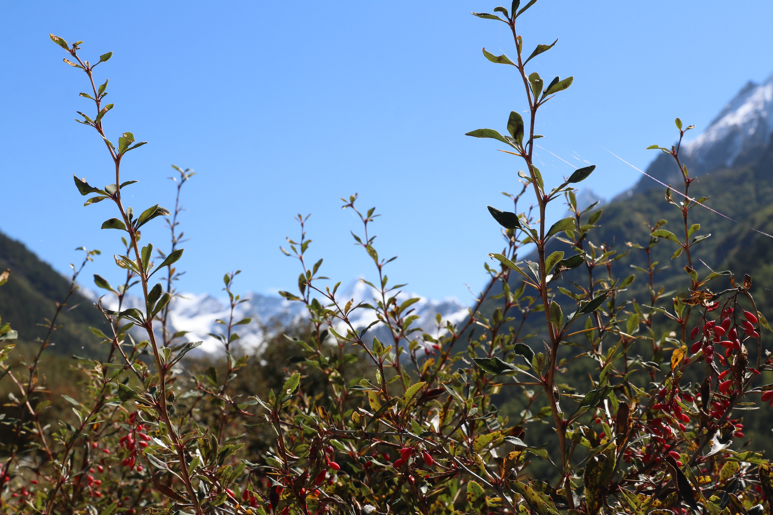 Приэльбрусье. Сентябрь 2023. Путешественник-фотограф из Санкт-Петербурга Татьяна Свистулина