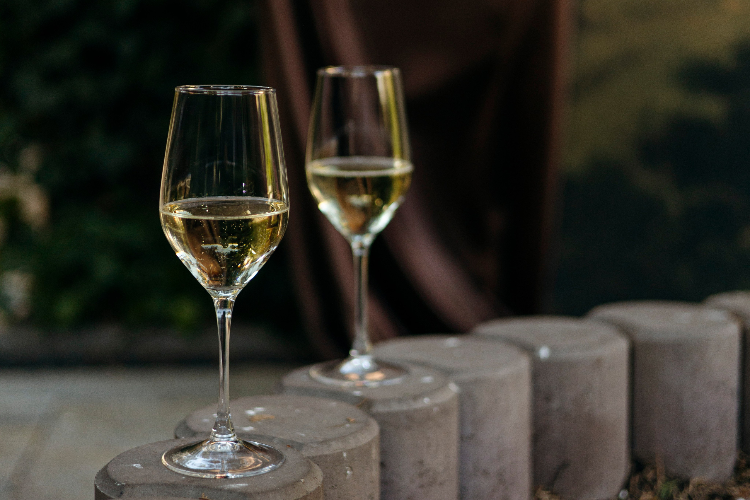 Илья и Александра. Nikolpinhasova