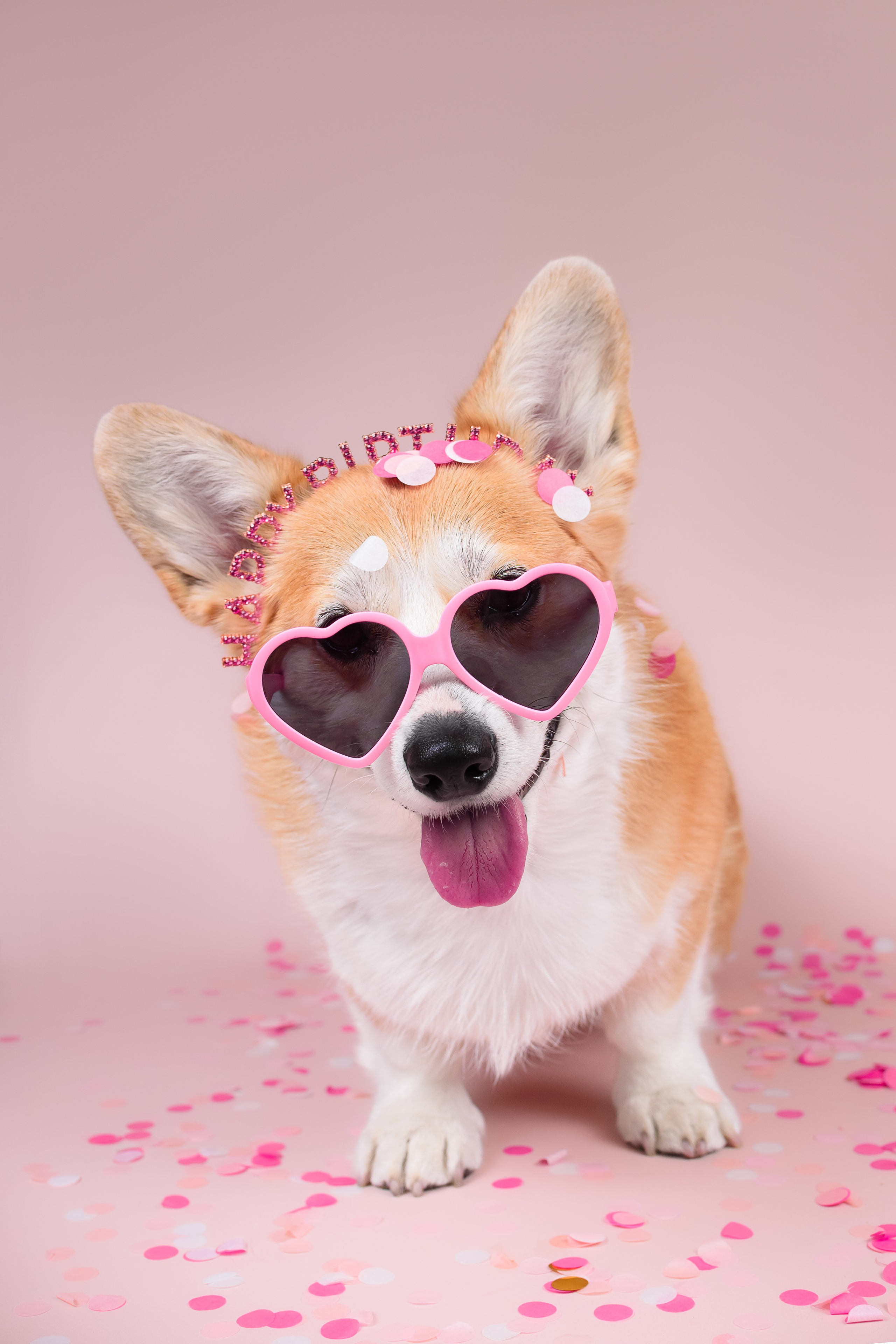 Лея ДР — 25.05.2024. Фотограф — Анималист | Анна Абрамова