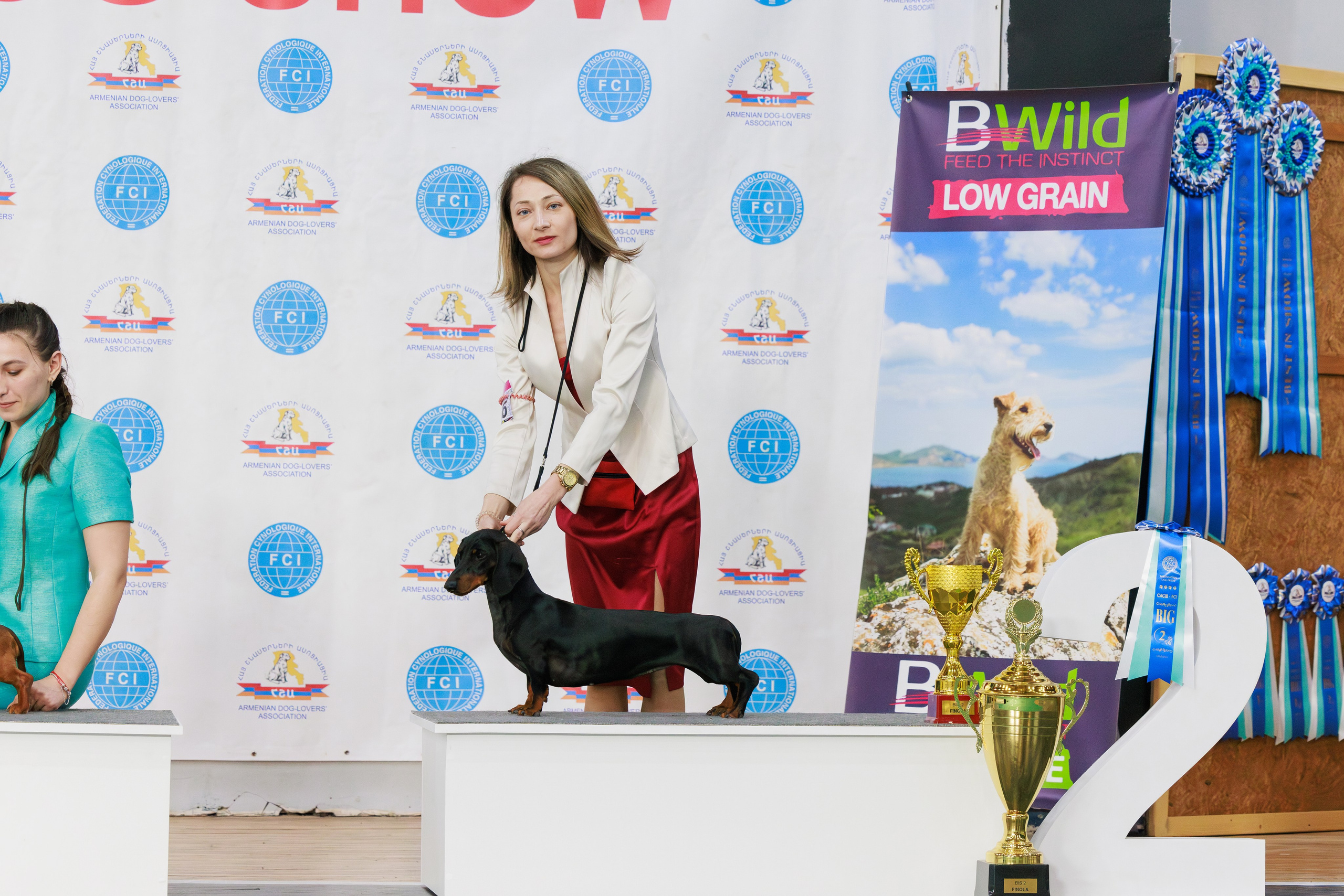 Ереван 2х CACIB 29-30.04.2025. Фотограф-анималист Юлия Германика