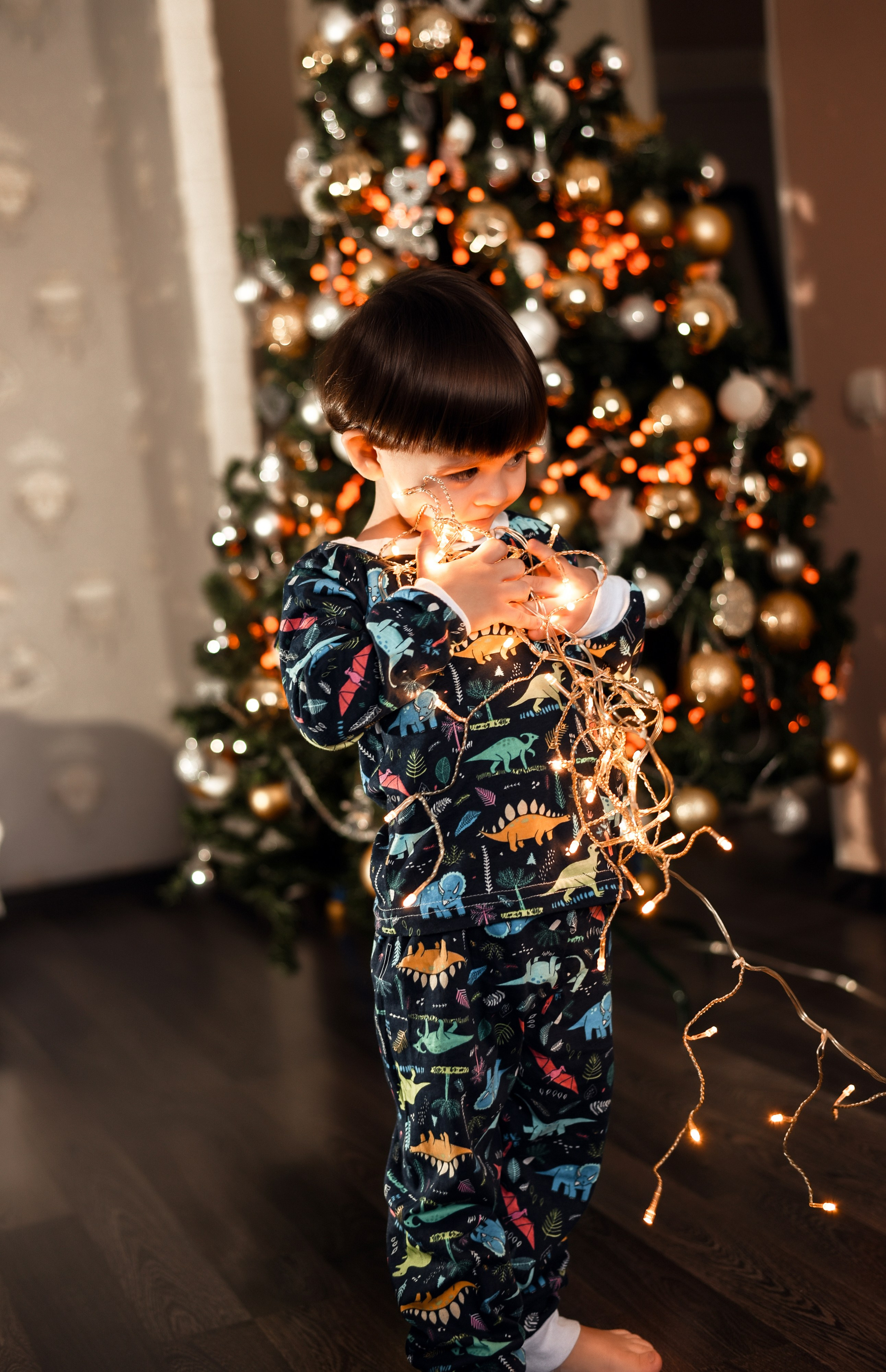 Домашняя новогодняя. Свадебный, семейный, детский, контент фотограф в Омске Максим Ильин