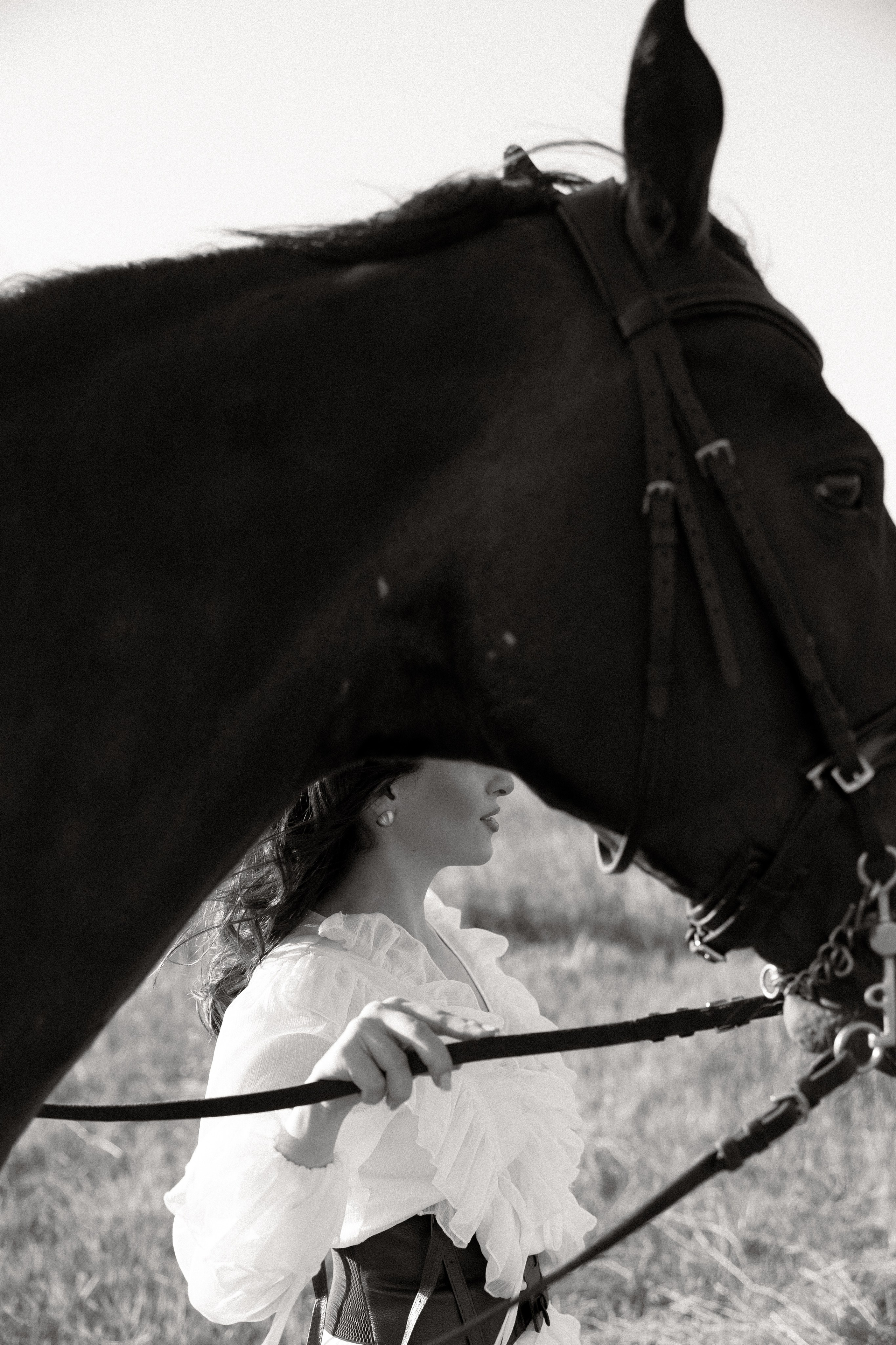 Golden Horse. Фотограф Алина Мкртычева