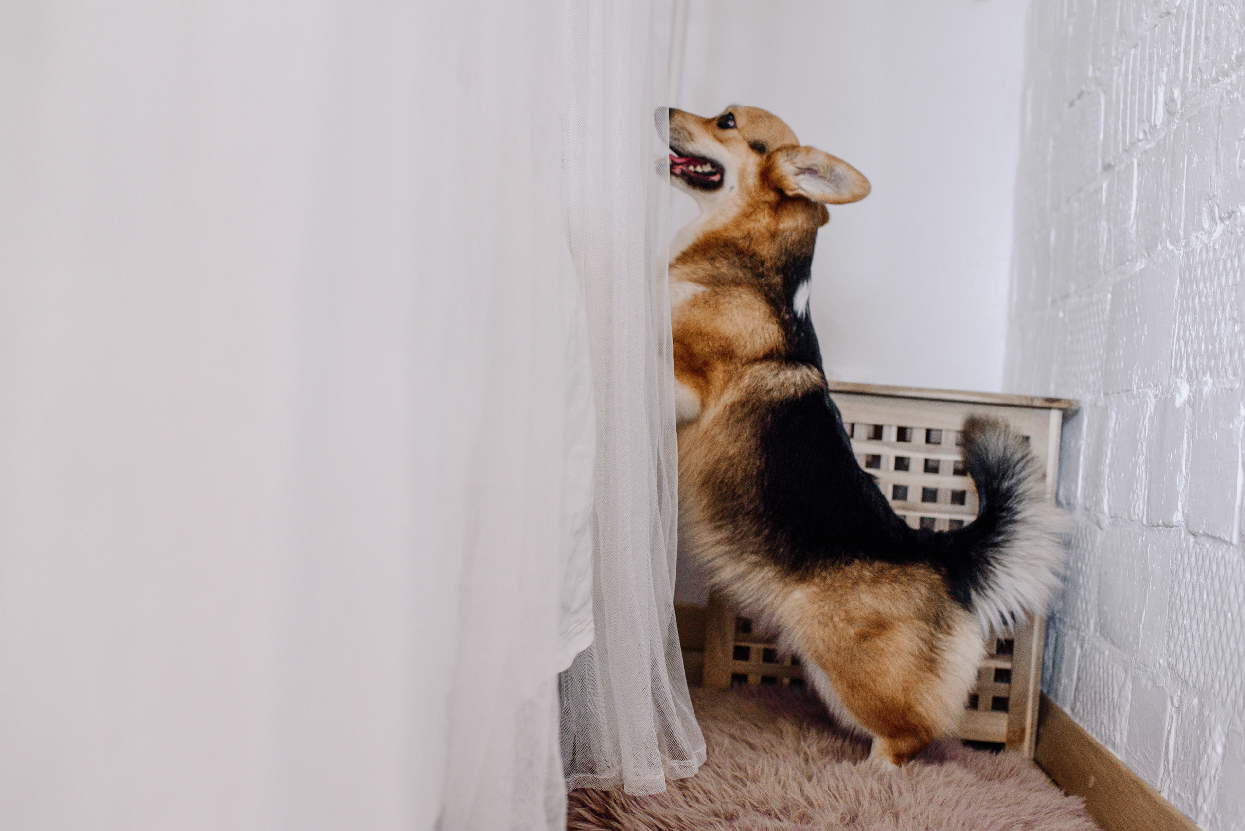 Leya & her people. Home