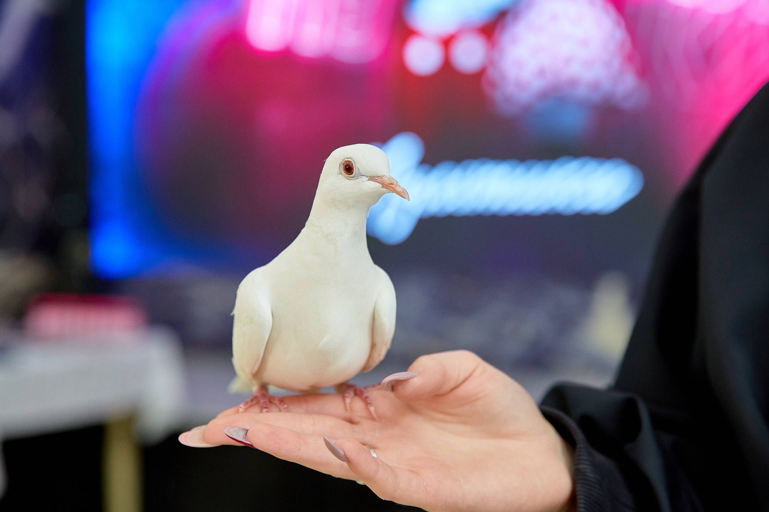 Мероприятия. Галина Шабурова, фотограф в Челябинске