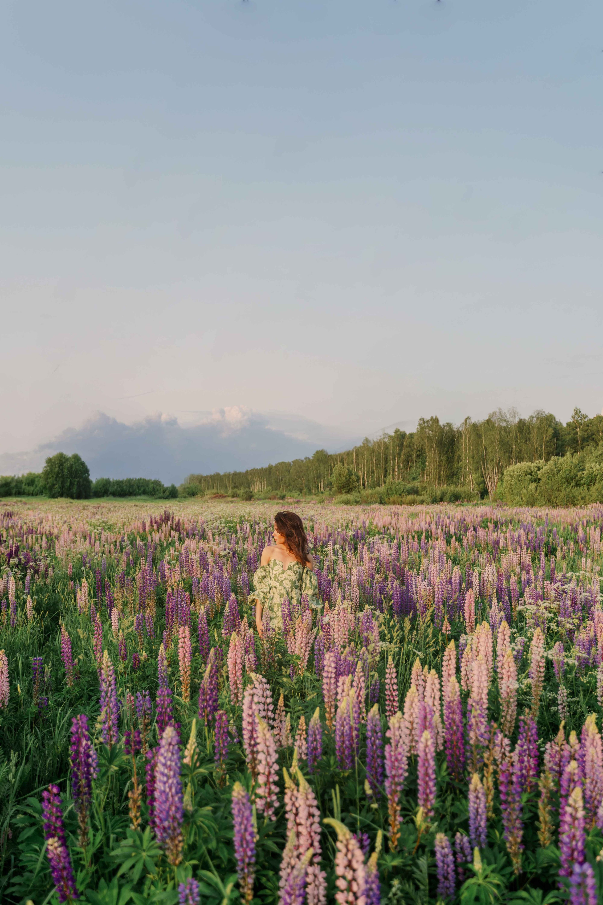 Наташа и люпины. Фотограф и видеограф в Москве и Абу Даби Мария Кулагина