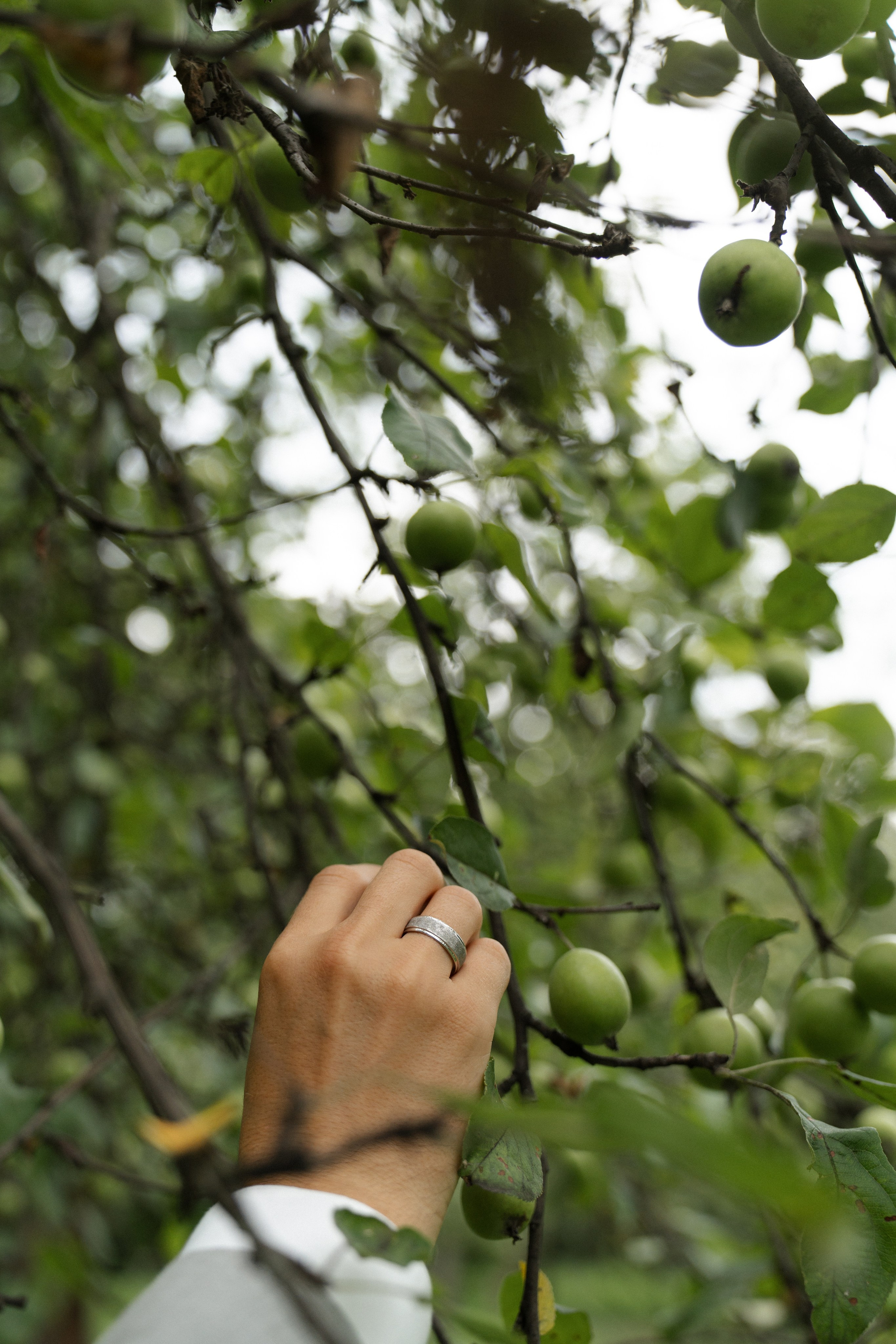 APPLE WED. Свадебный фотограф Наташа Брифли