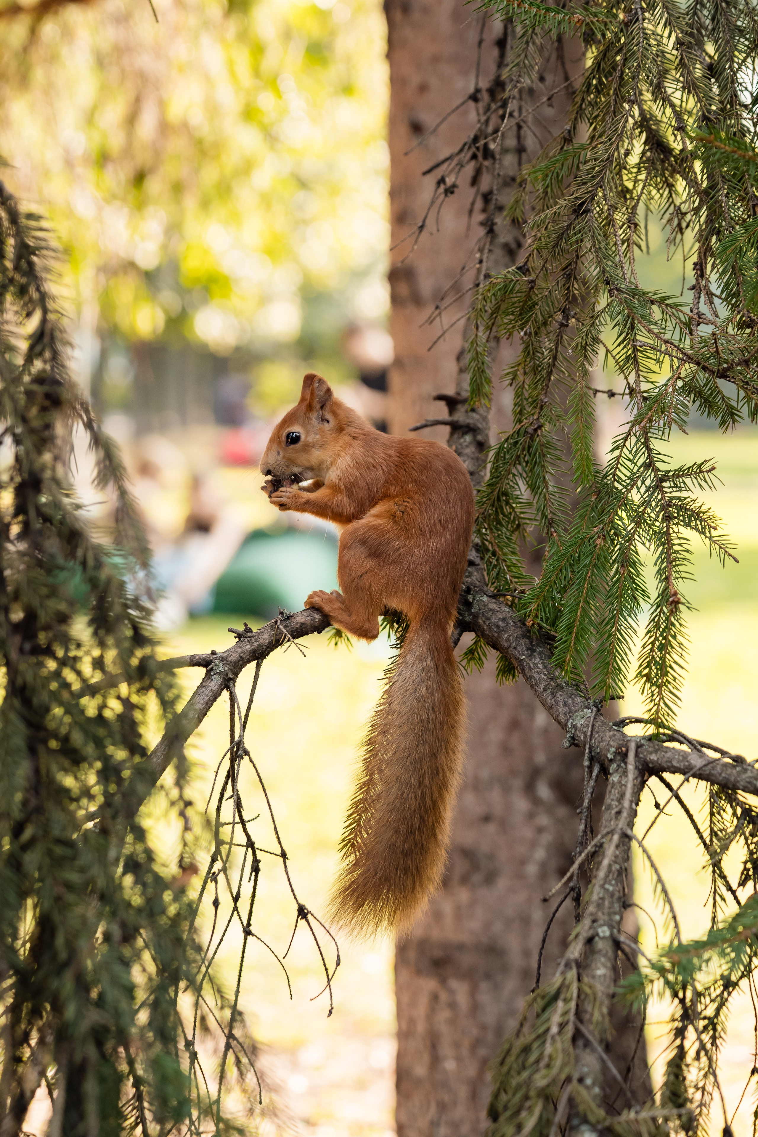 Москва 2030. Парк Горького и Музеон. Лето 27.08.24