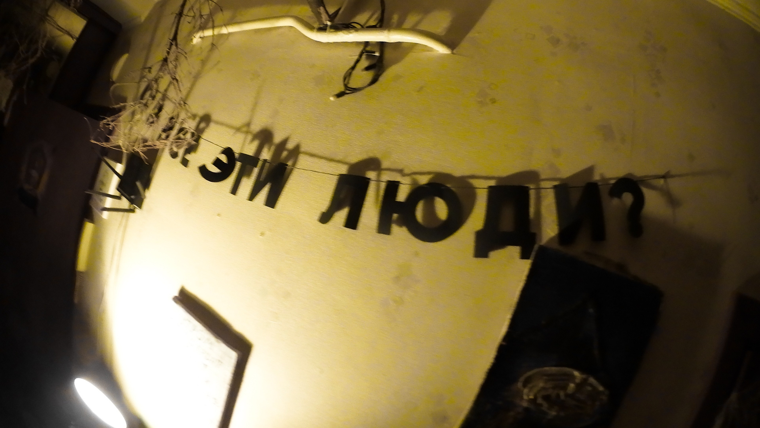 Гости. Fedor Kalinin