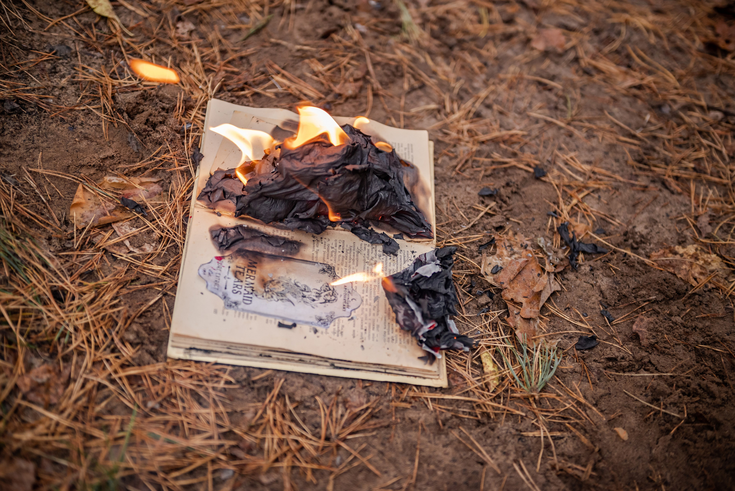 Хеллоуин. Свадебный и семейный фотограф в Дзержинске Екатерина Шулакова