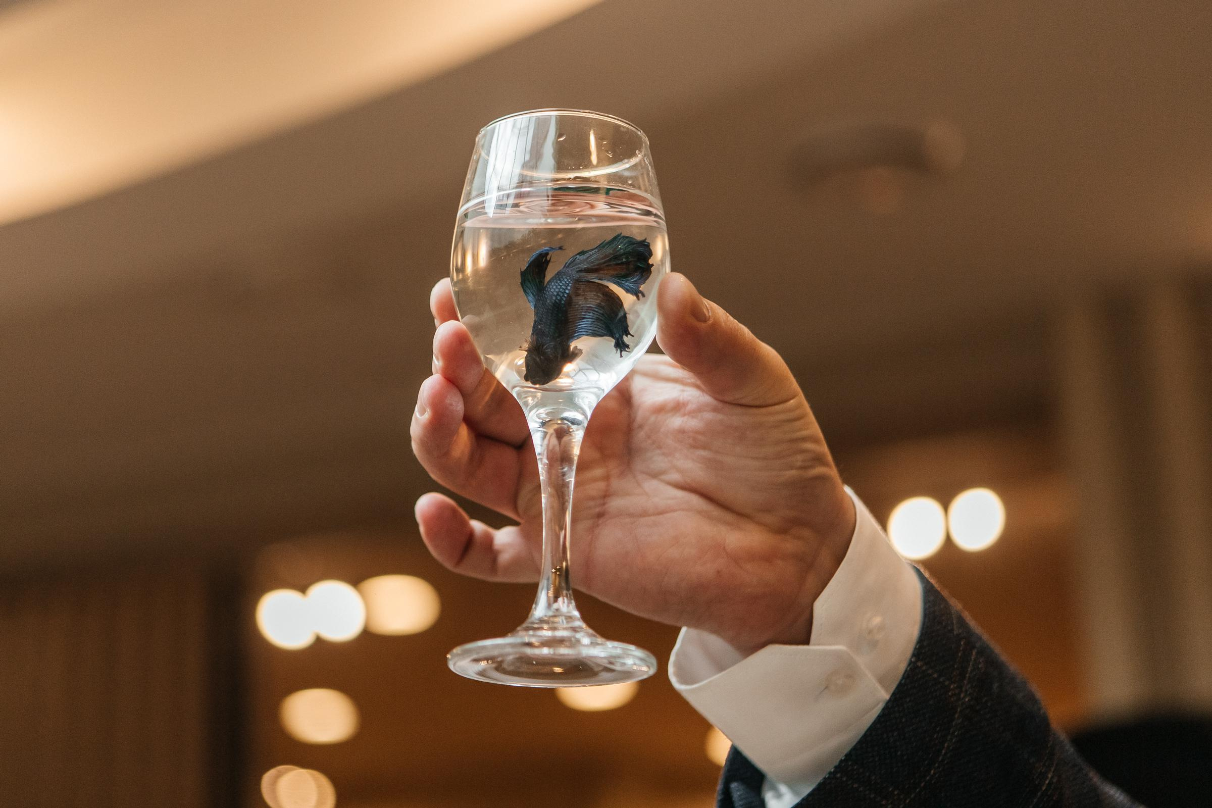 Артем&Александра