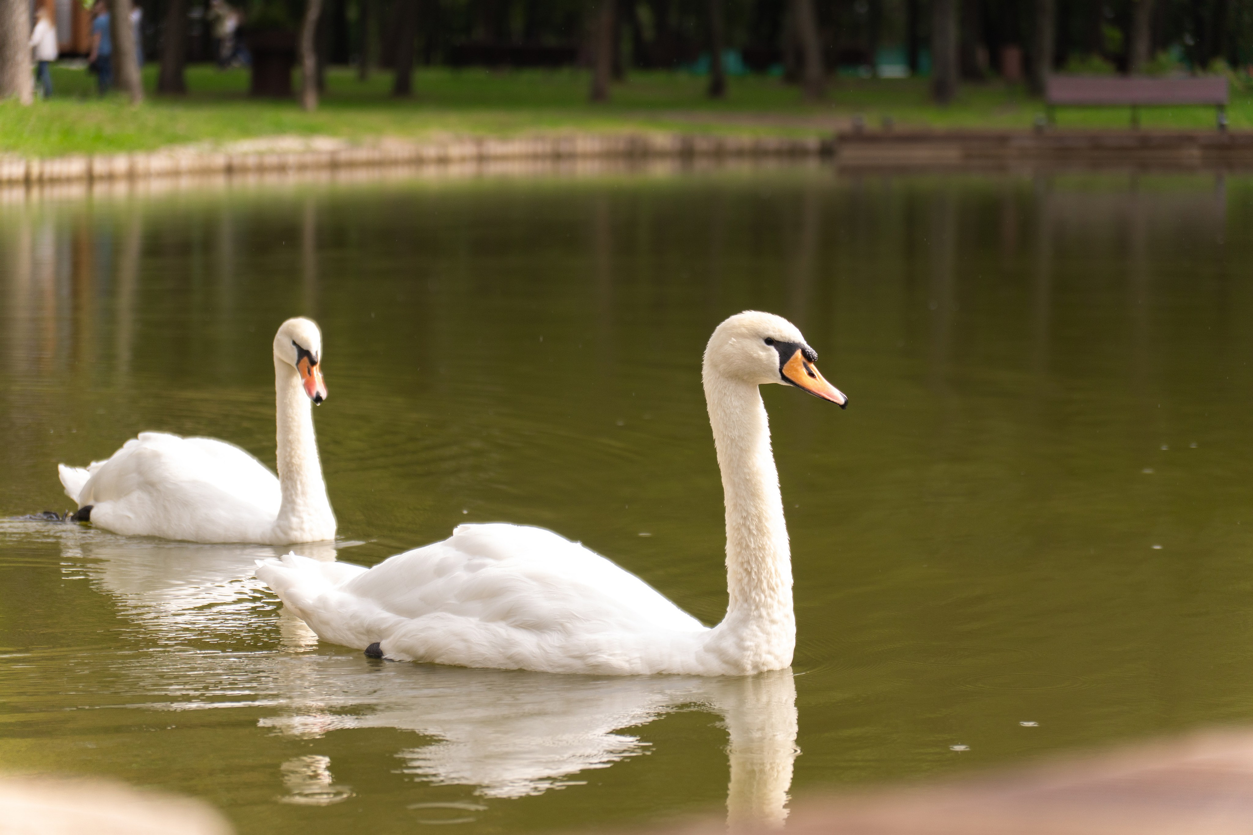Свадьба Юлии и Олега. Фото и видео съёмка в Москве и МО Александр Чапала и Трояк Алеся