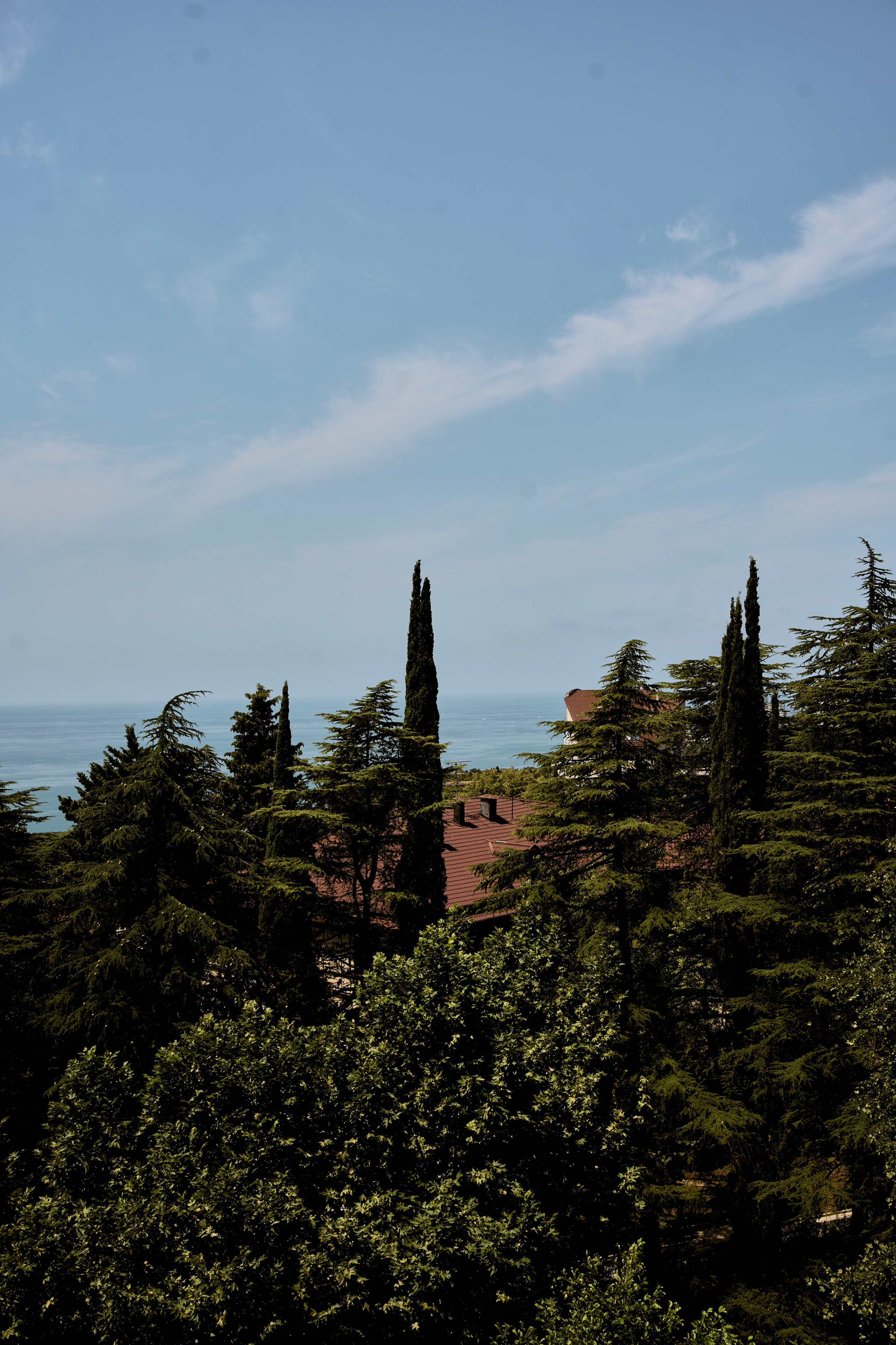 СОЧИ. Студийный фотограф в Екатеринбурге Бшари Заана