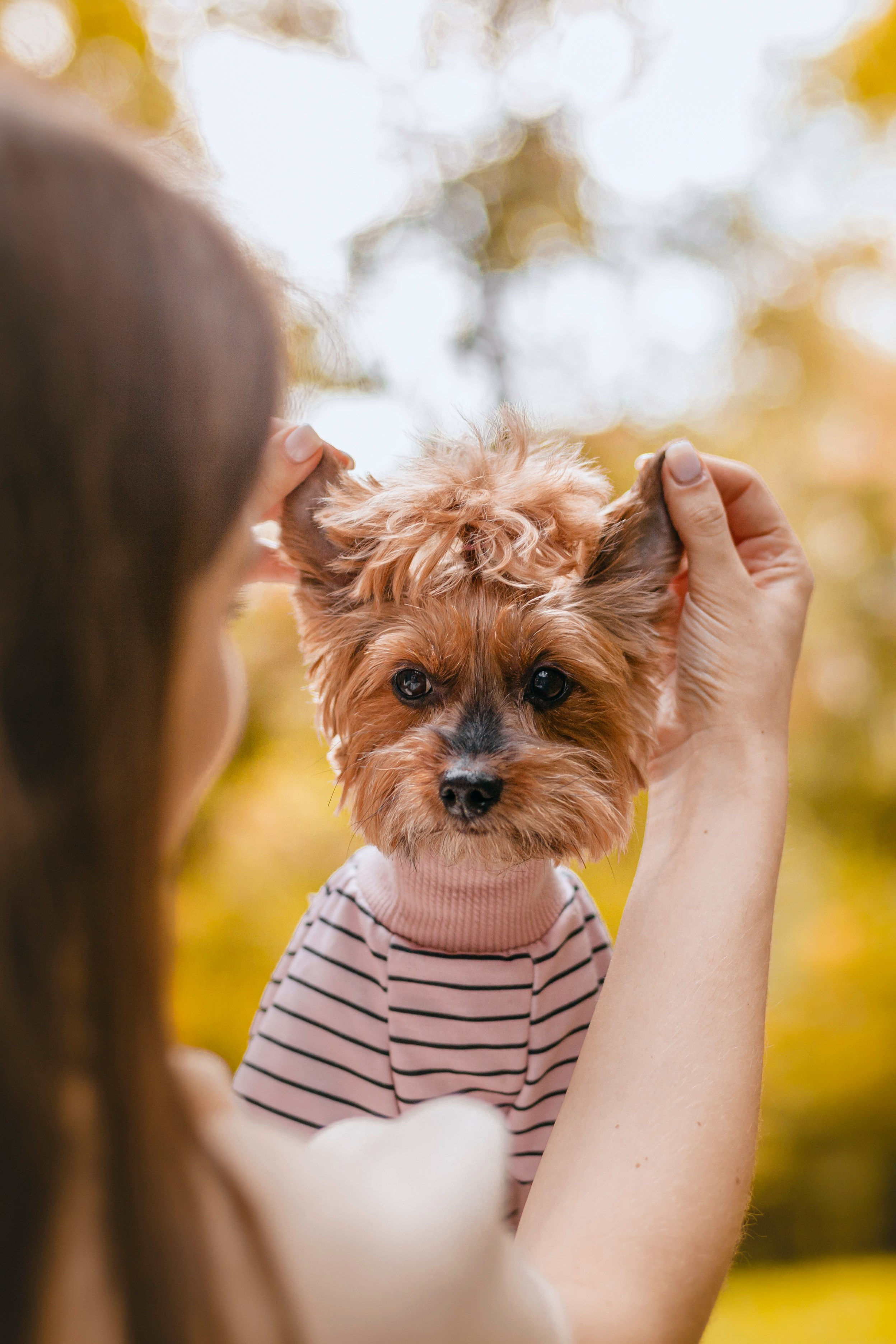 Катя и Моня. Фотограф-анималист Татьяна Степанова