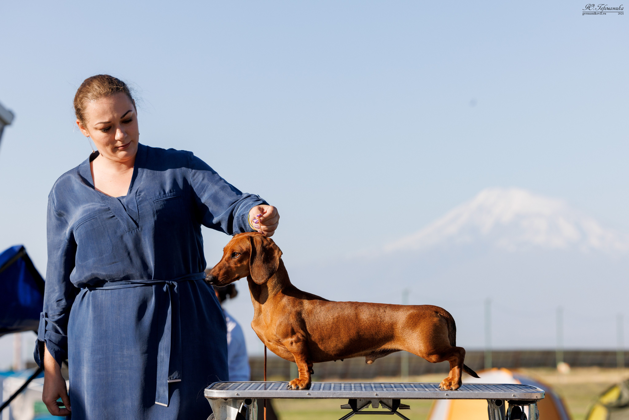 Ереван 3-5.06.2024. Фотограф-анималист Юлия Германика
