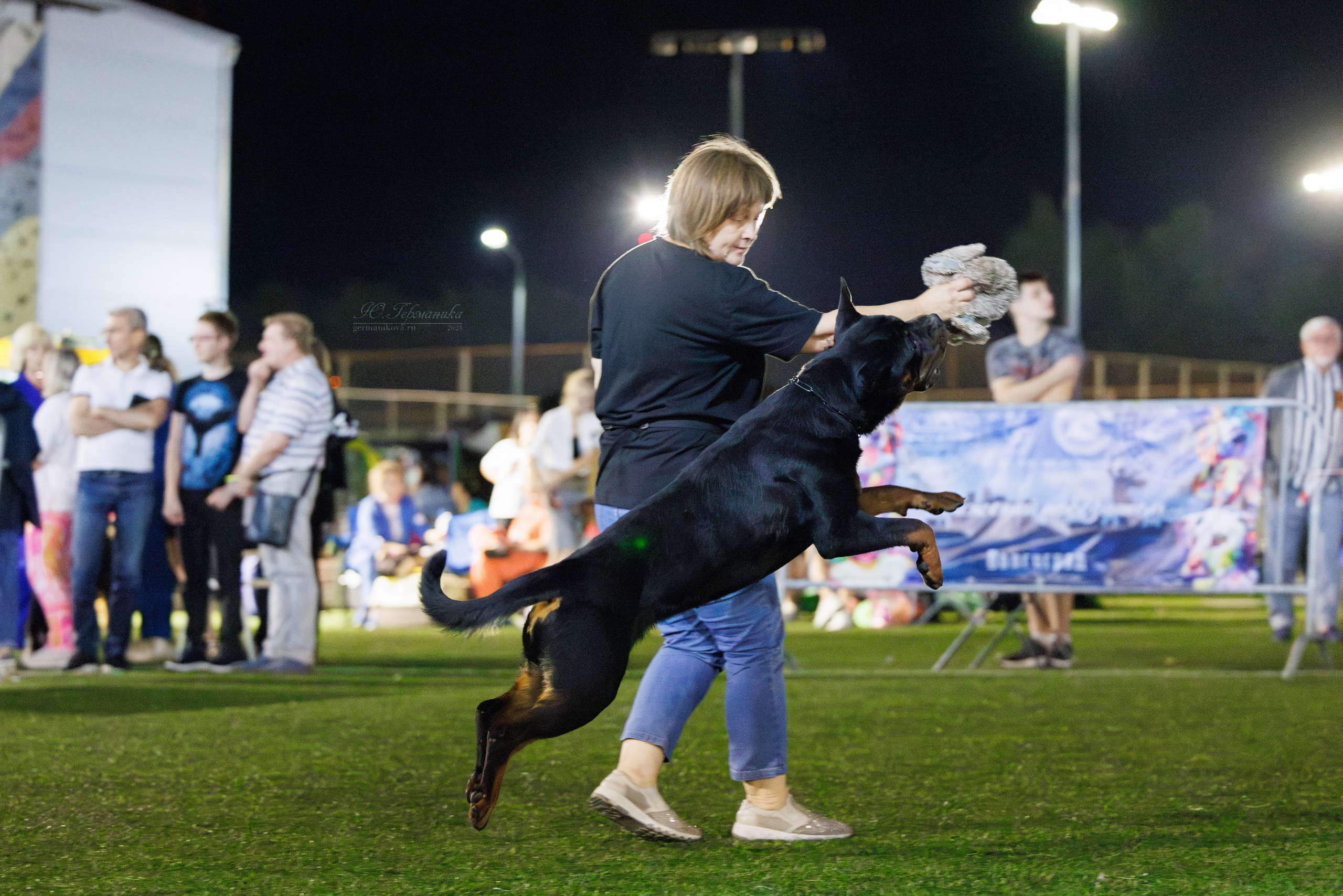 Волгоград 2-4.08.2024. Фотограф-анималист Юлия Германика