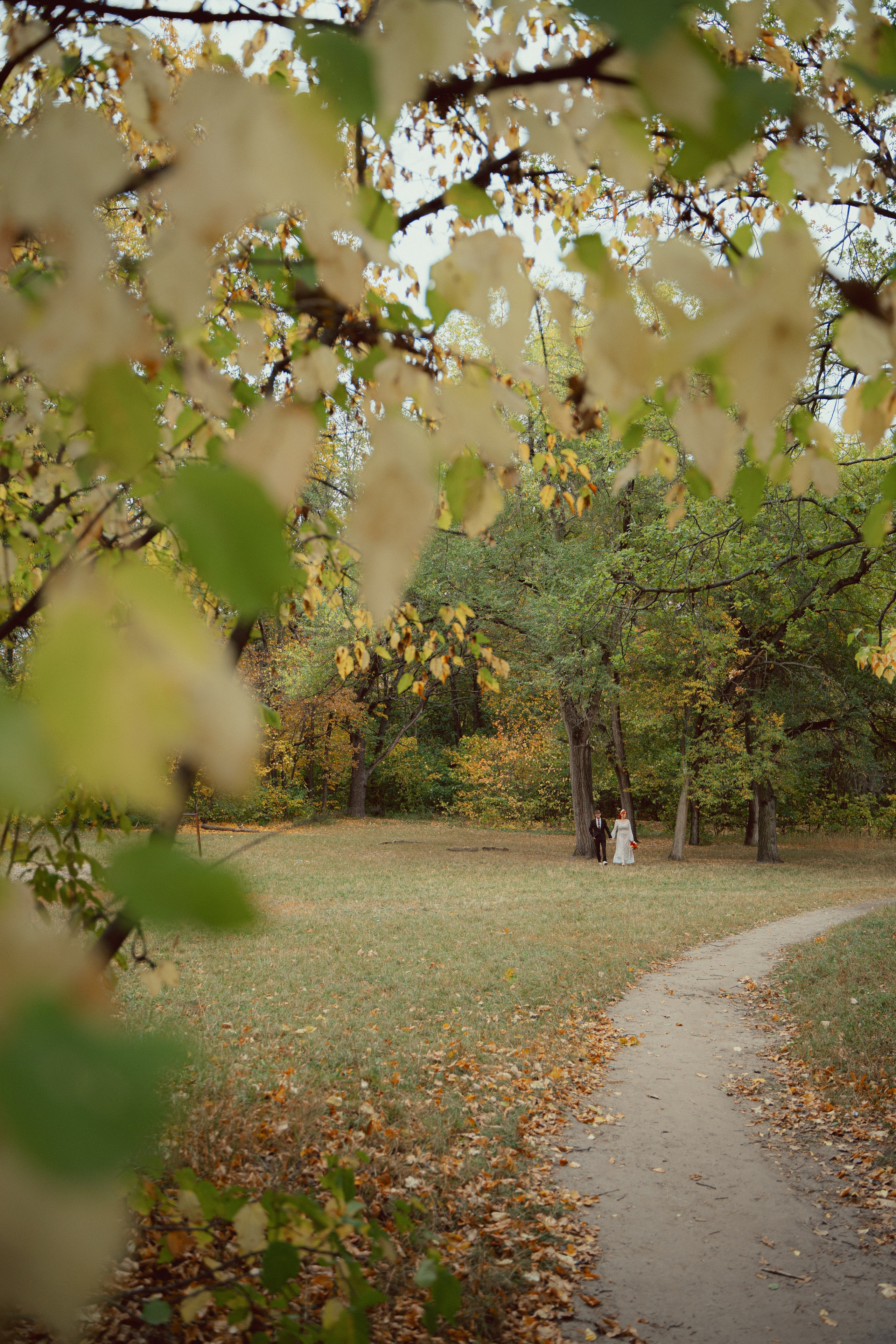 Динамо. Фотограф Мария Зайчик