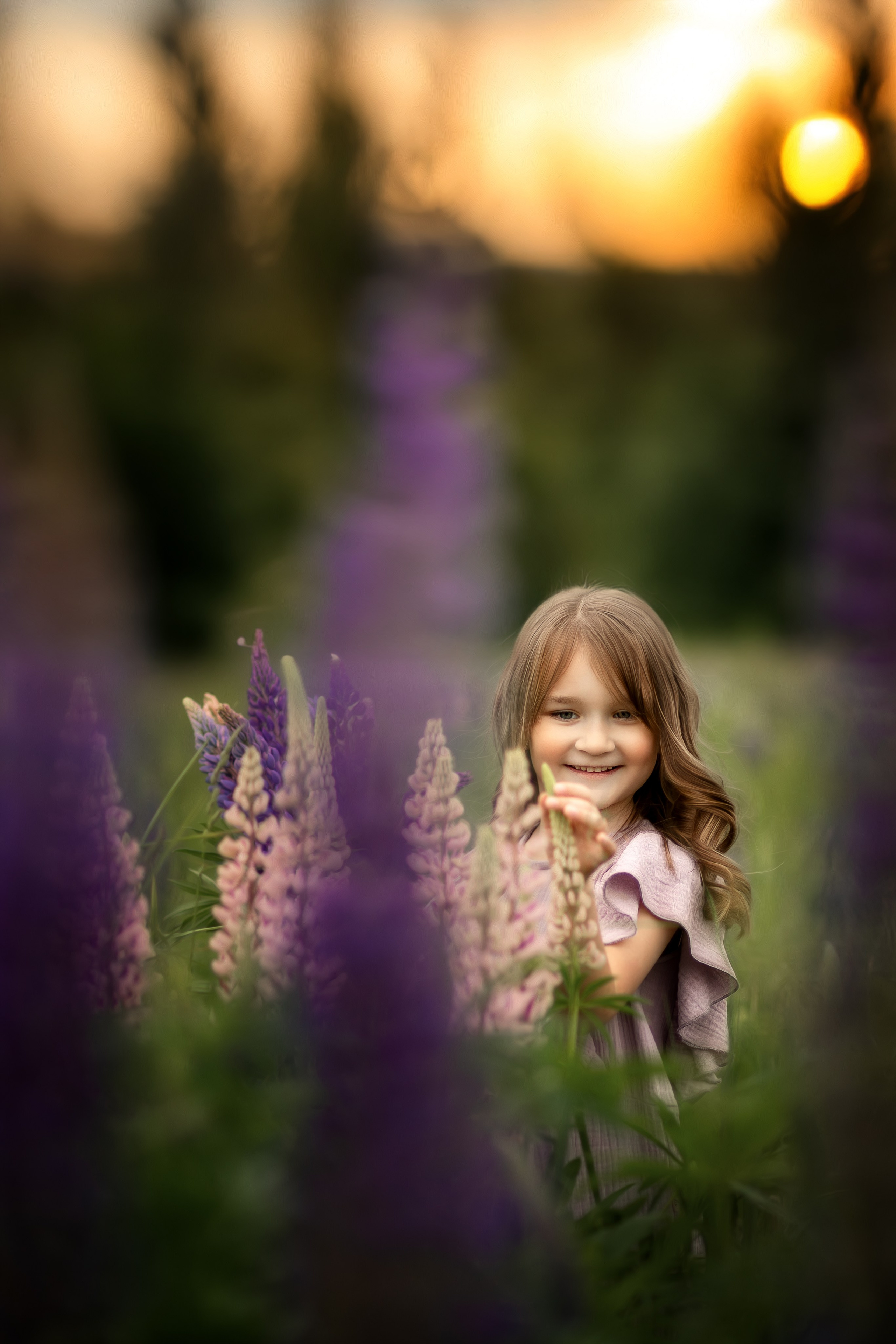 Девочка в сиреневом платье среди люпинов на закате, улыбается, прячась в цветах.