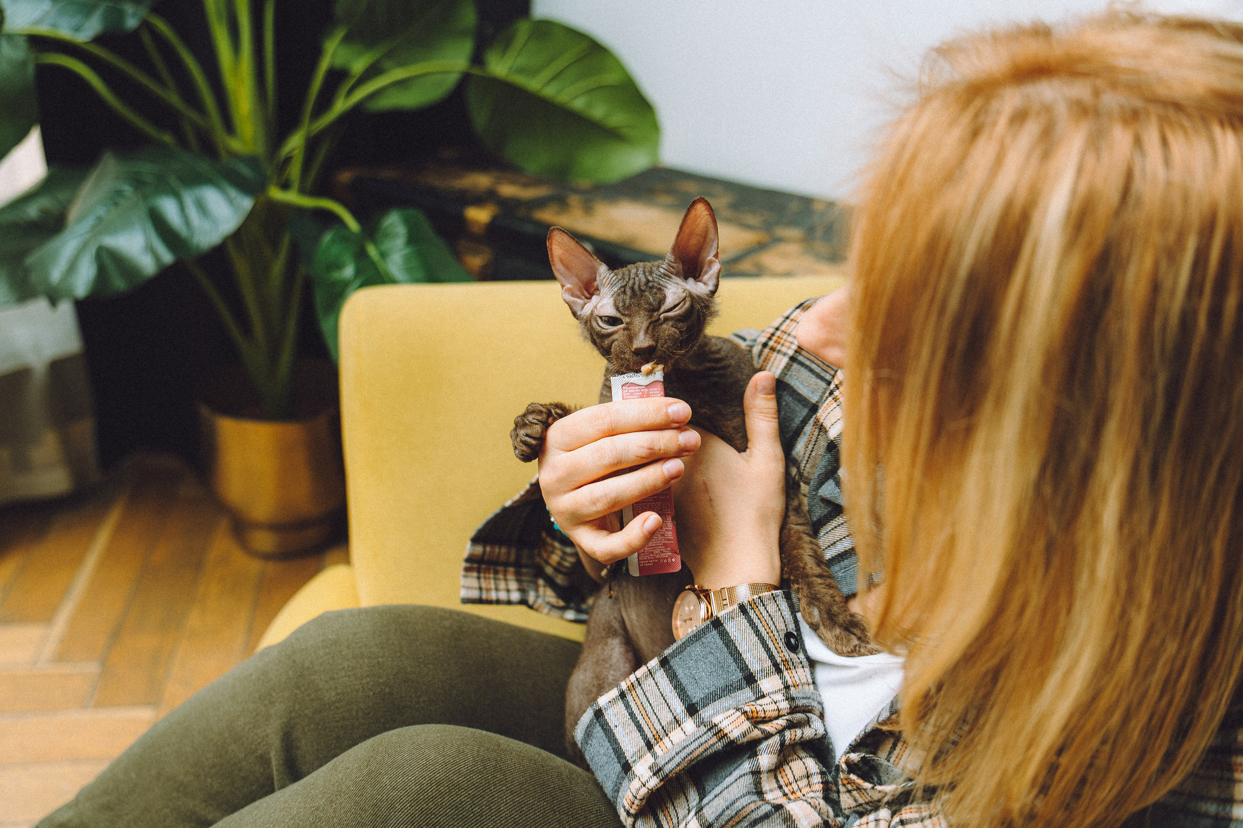 Кокос, Света, Динара и Вилли