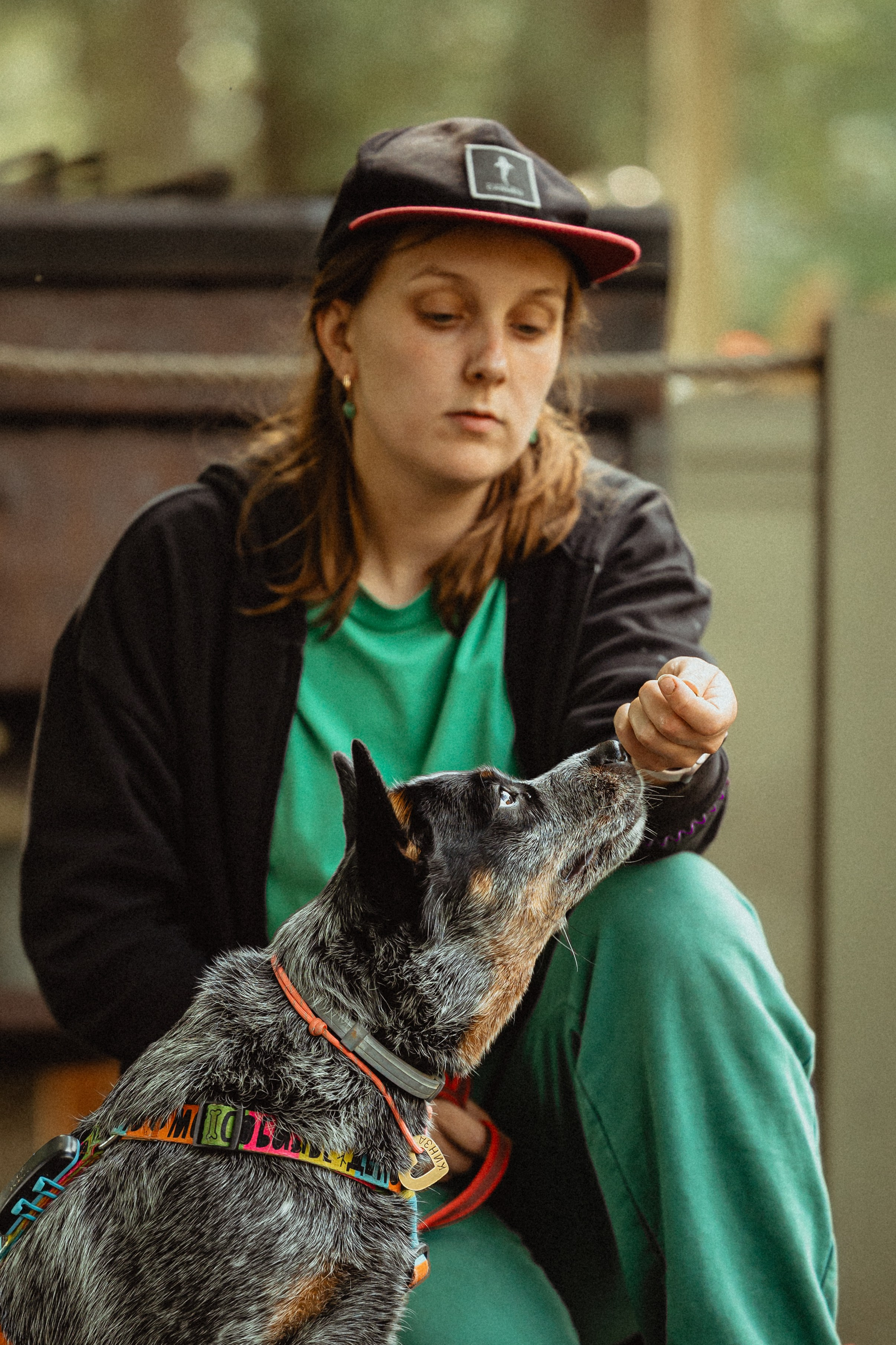 Выездной дог-тренинг от школы «Шерсть имею»