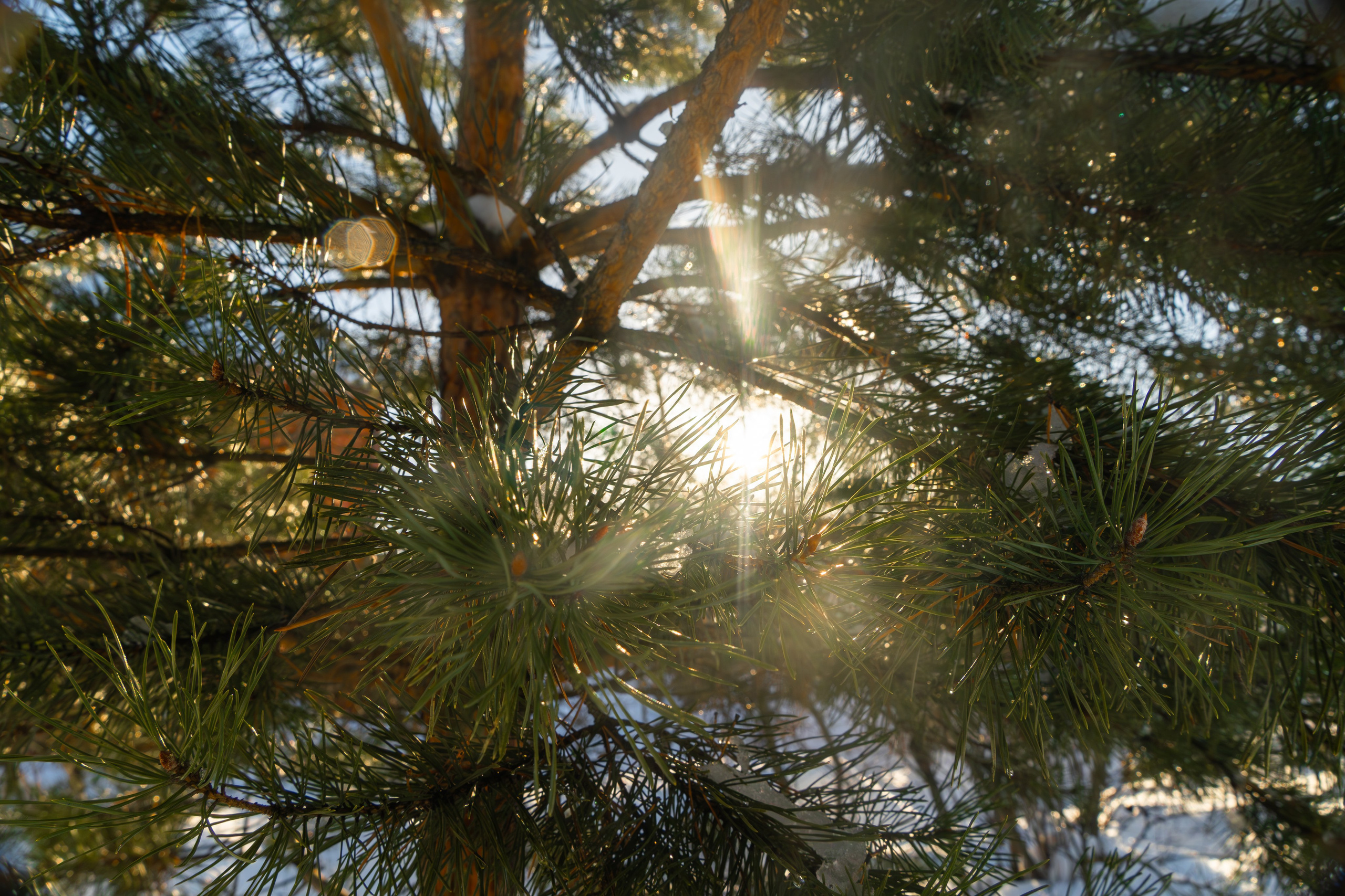 Стрит‑фото: жизнь города в кадре — реальные моменты. FM Media Сrew. Репортажные фото и видео