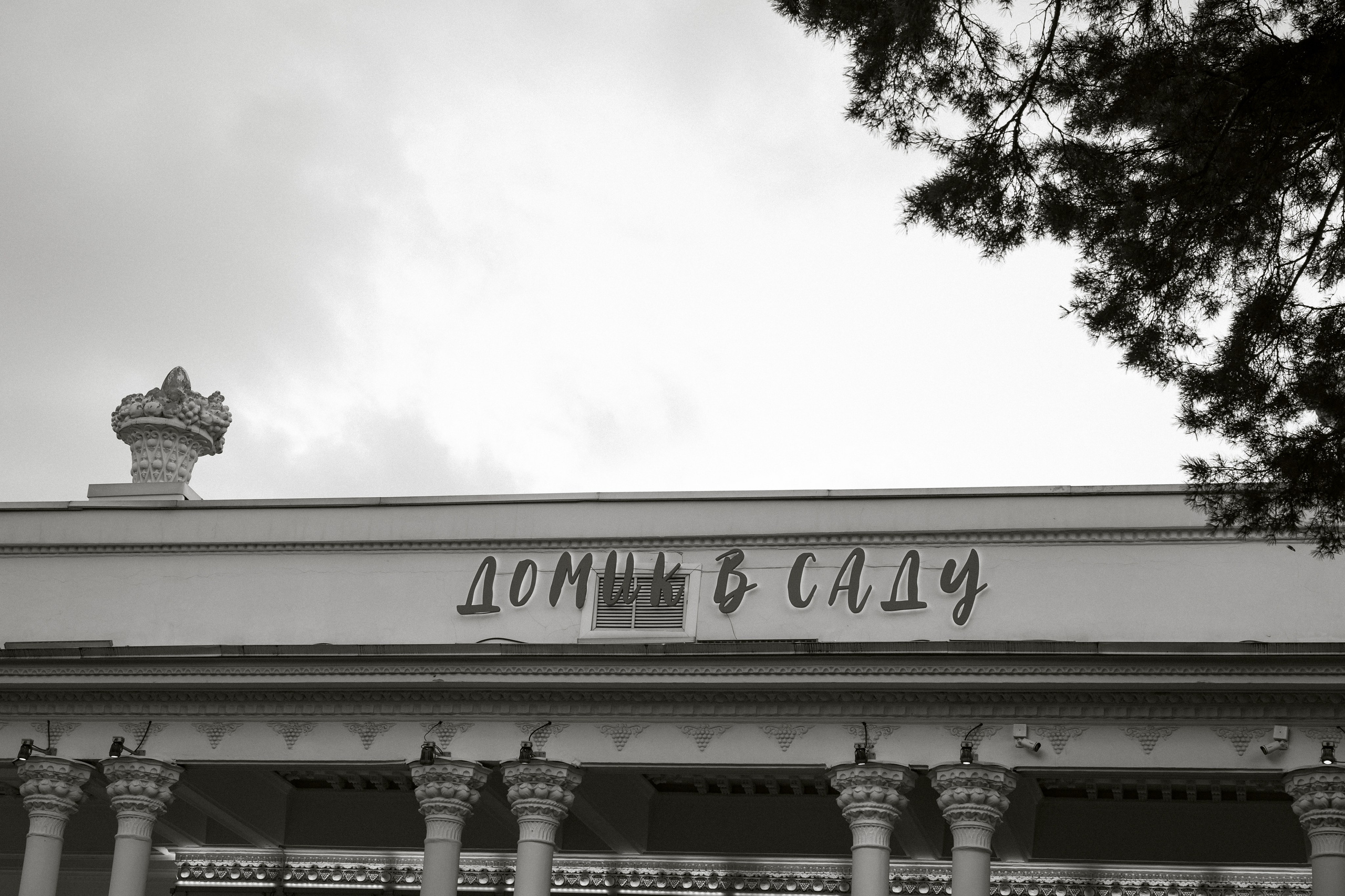 КРИЧАТ ОБ ОДНОМ — ЭТО ЛЮБОВЬ. Фотограф Наталия Бирюкова