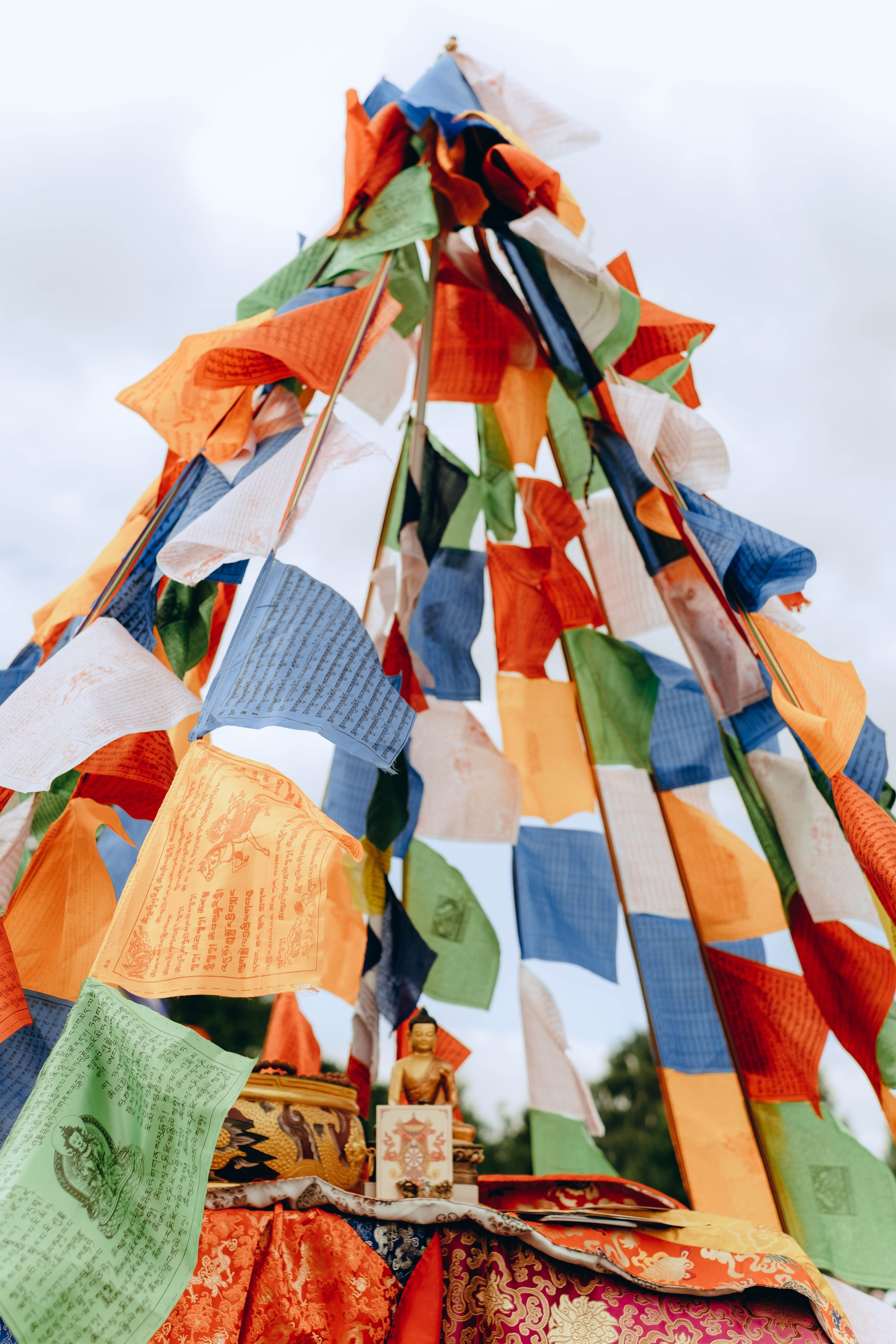 XI Международный день Йоги в Москве. Фотограф Аннё| Москва