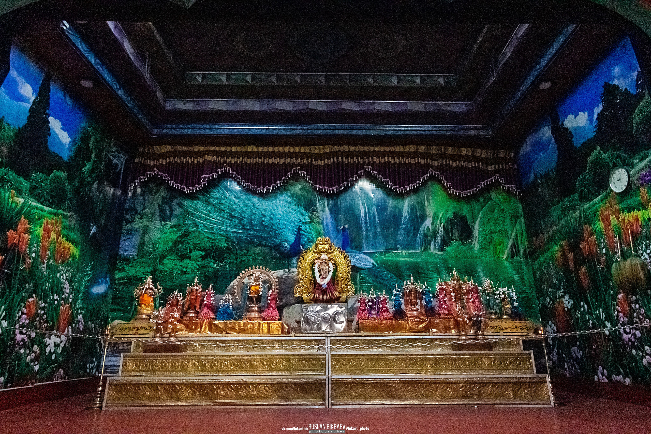 ШРИ-ЛАНКА 2025 / SRI LANKA 2025. Главная