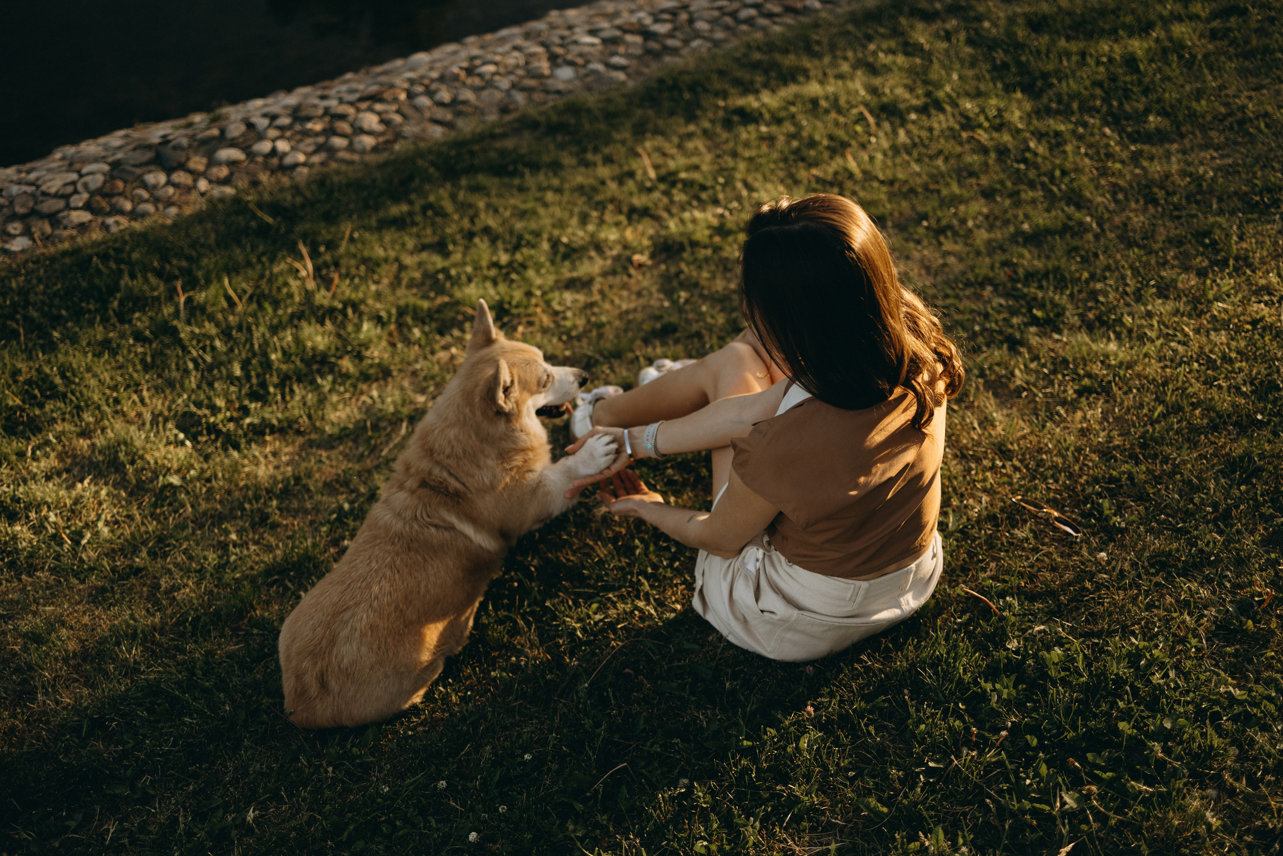 Кристина и Шелби. Фотограф — Анималист | Санкт-Петербург