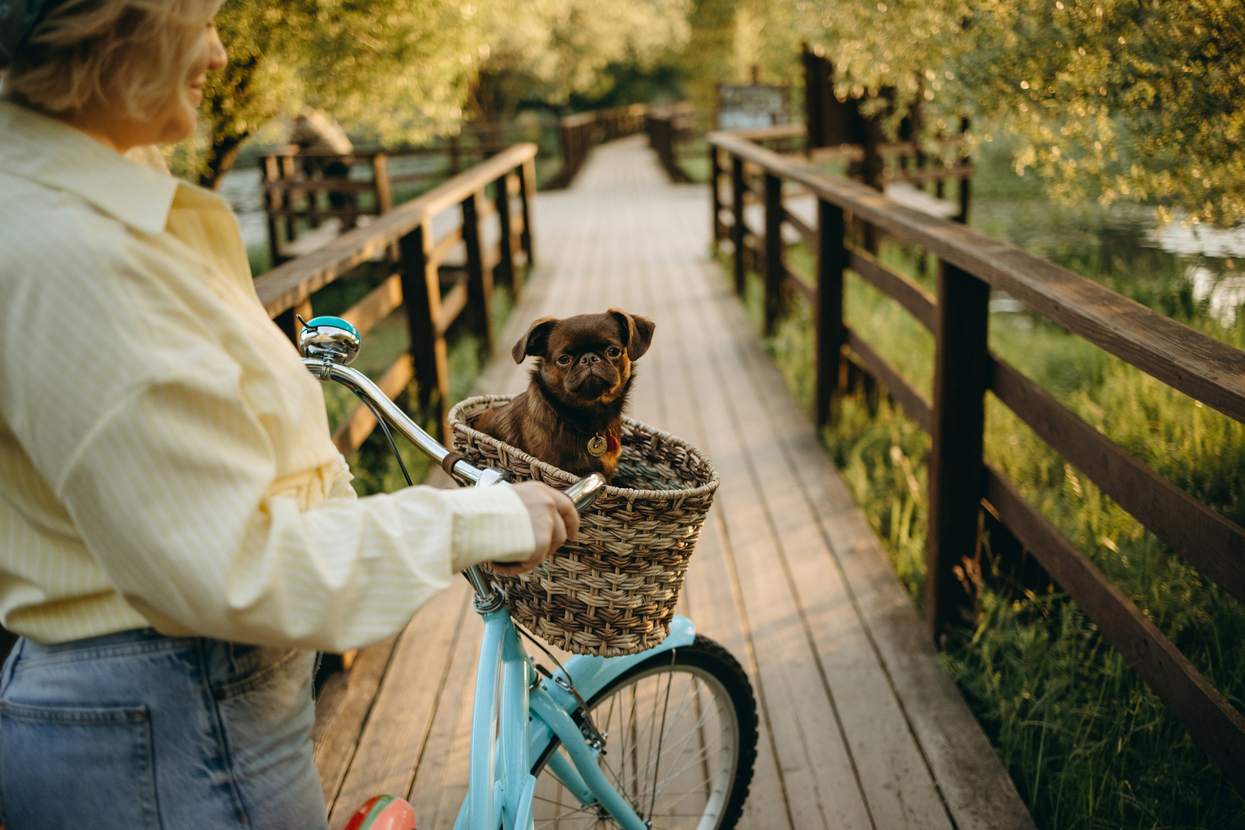 Екатерина и Лёня. Фотограф — Анималист | Санкт-Петербург