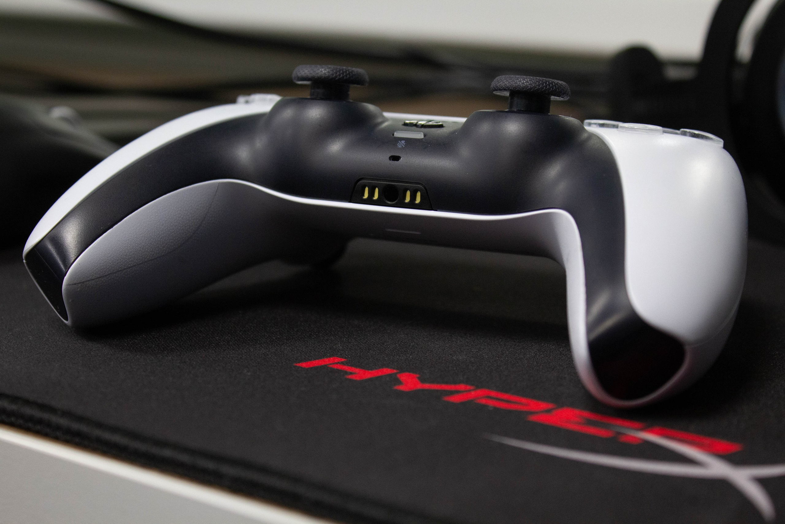 Polycup. Карпогоры, Санкт-Петербург