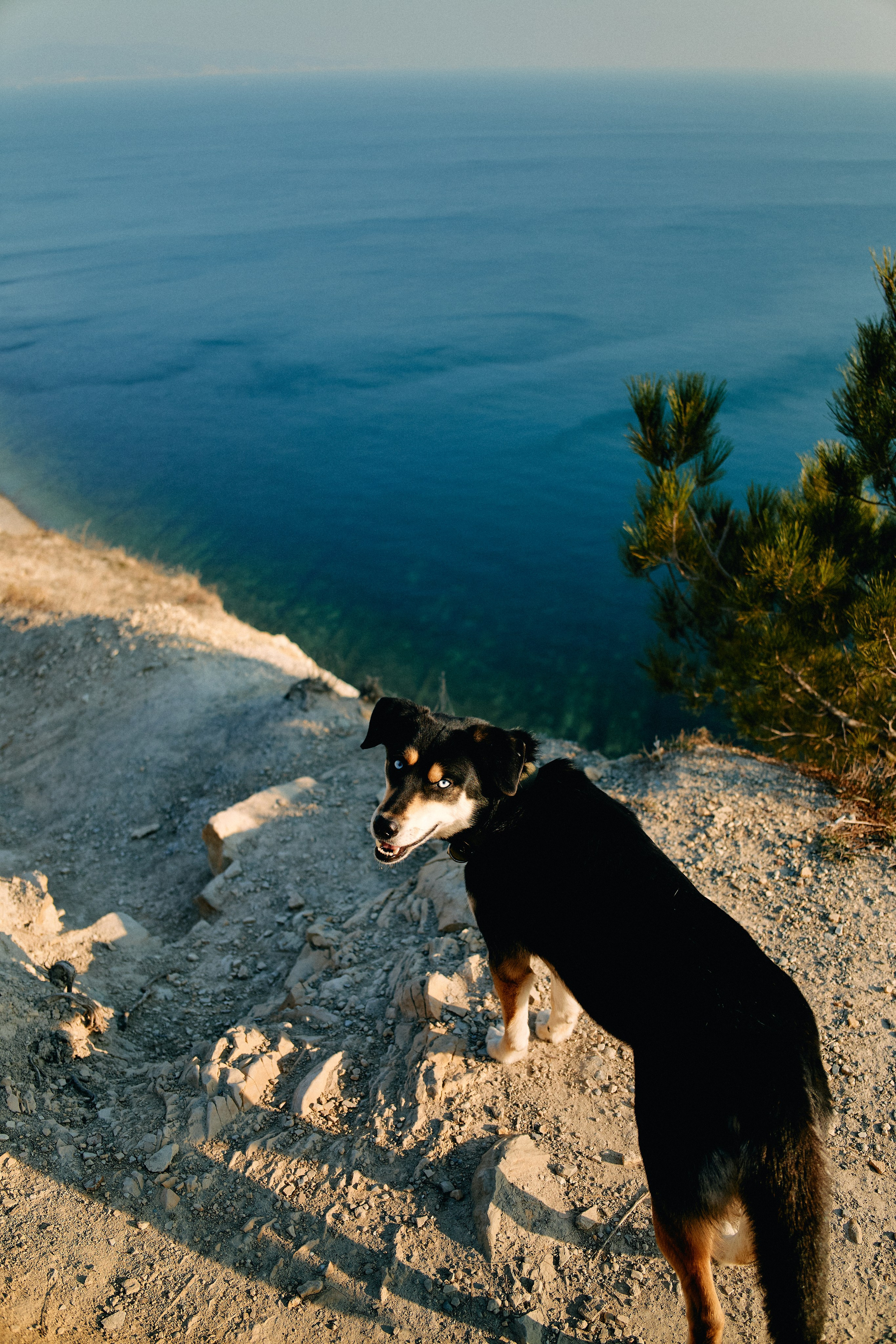 Юг России. Профессиональный Фотограф во Владимире, в Москве и в Суздале — Полина Романычева