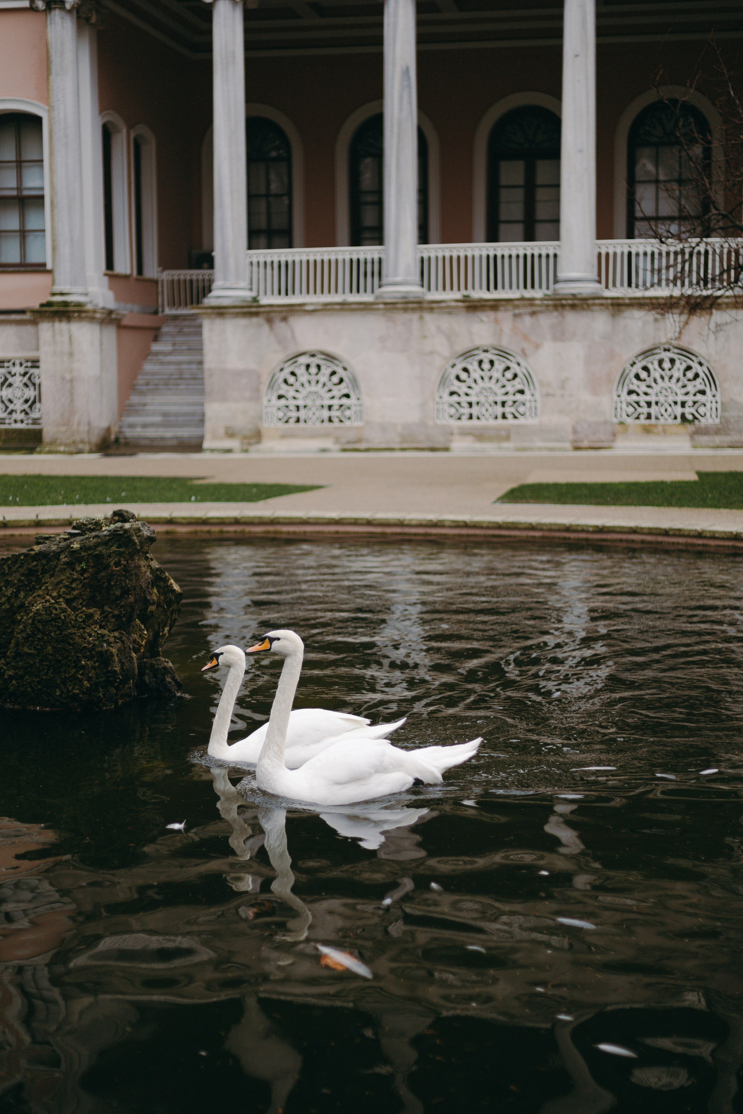 Стамбул. Профессиональный Фотограф во Владимире, в Москве и в Суздале — Полина Романычева