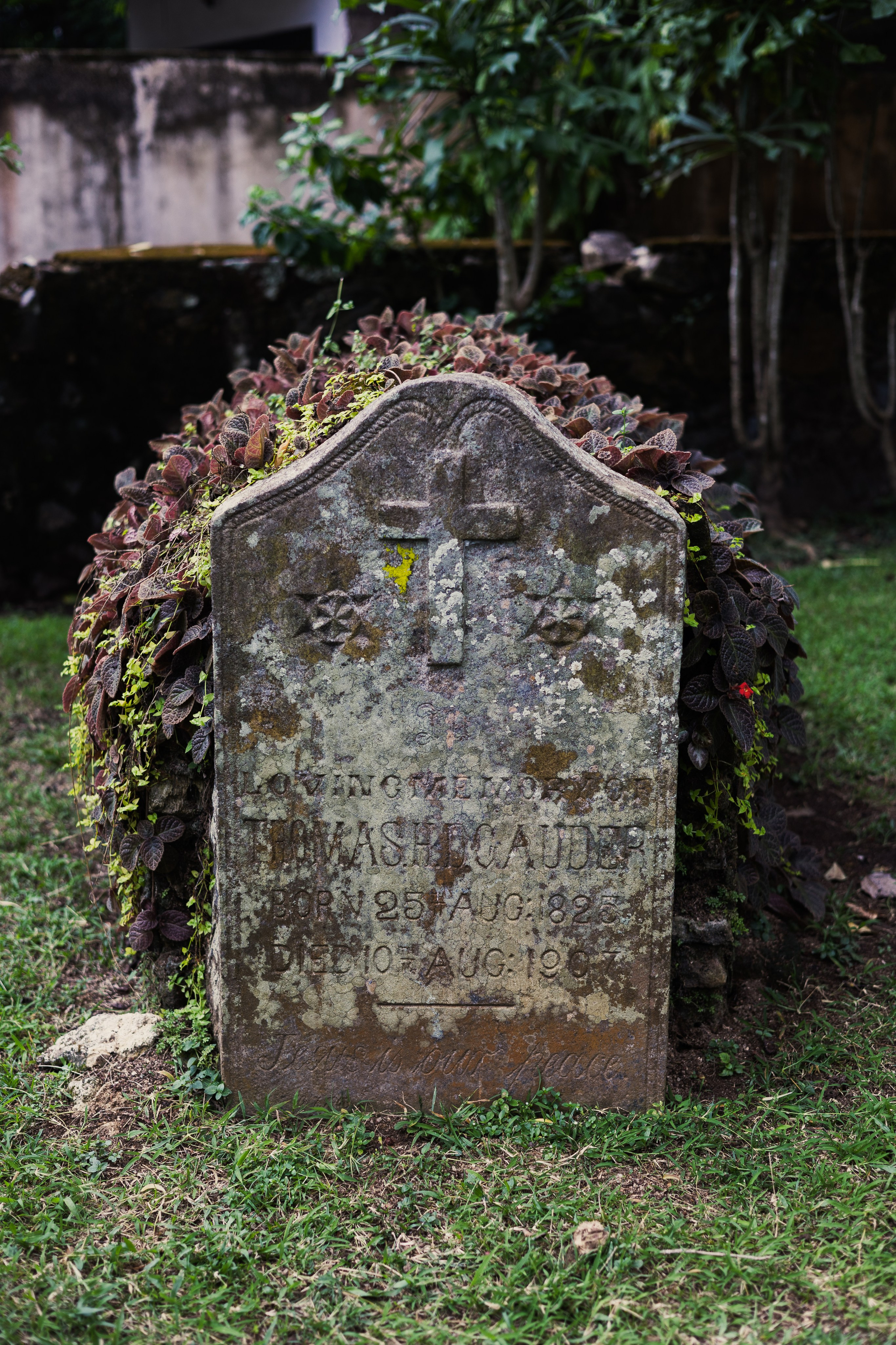 Weligama. Photographer Sonkina Tatiana (Tanya Ash)