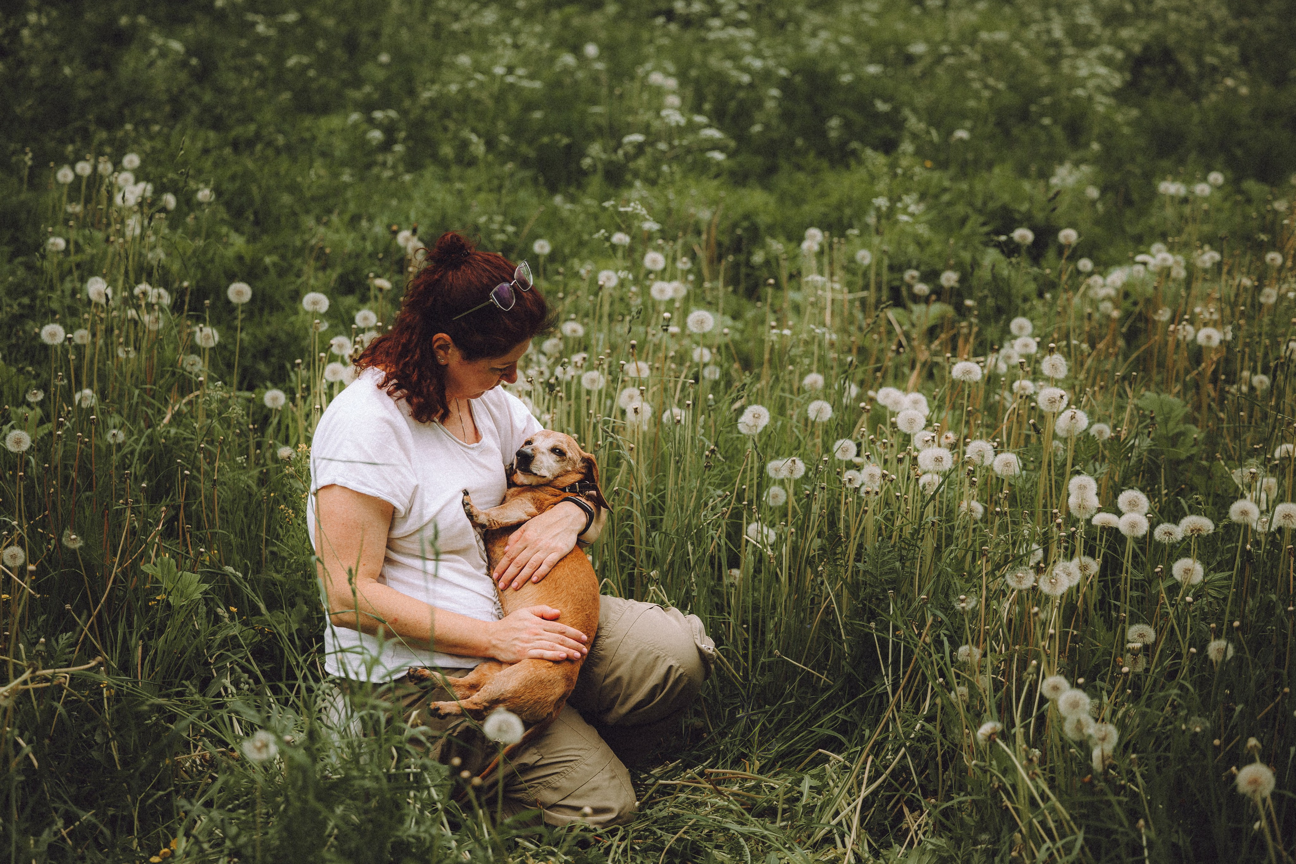 Груша, Данни, Фунтик и их семья