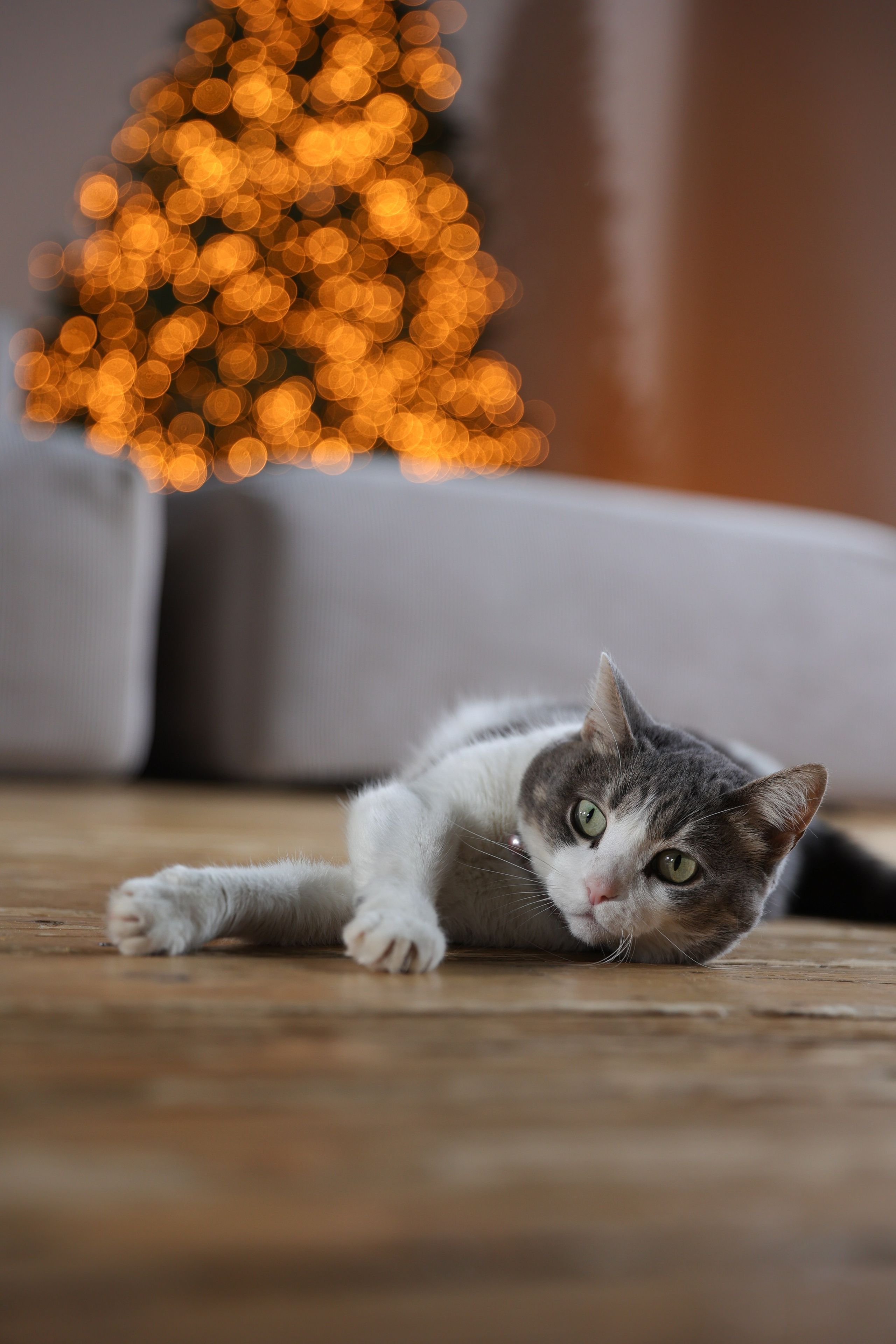 HappyNewYear. Фотограф Алина Ионычева в Новосибирске