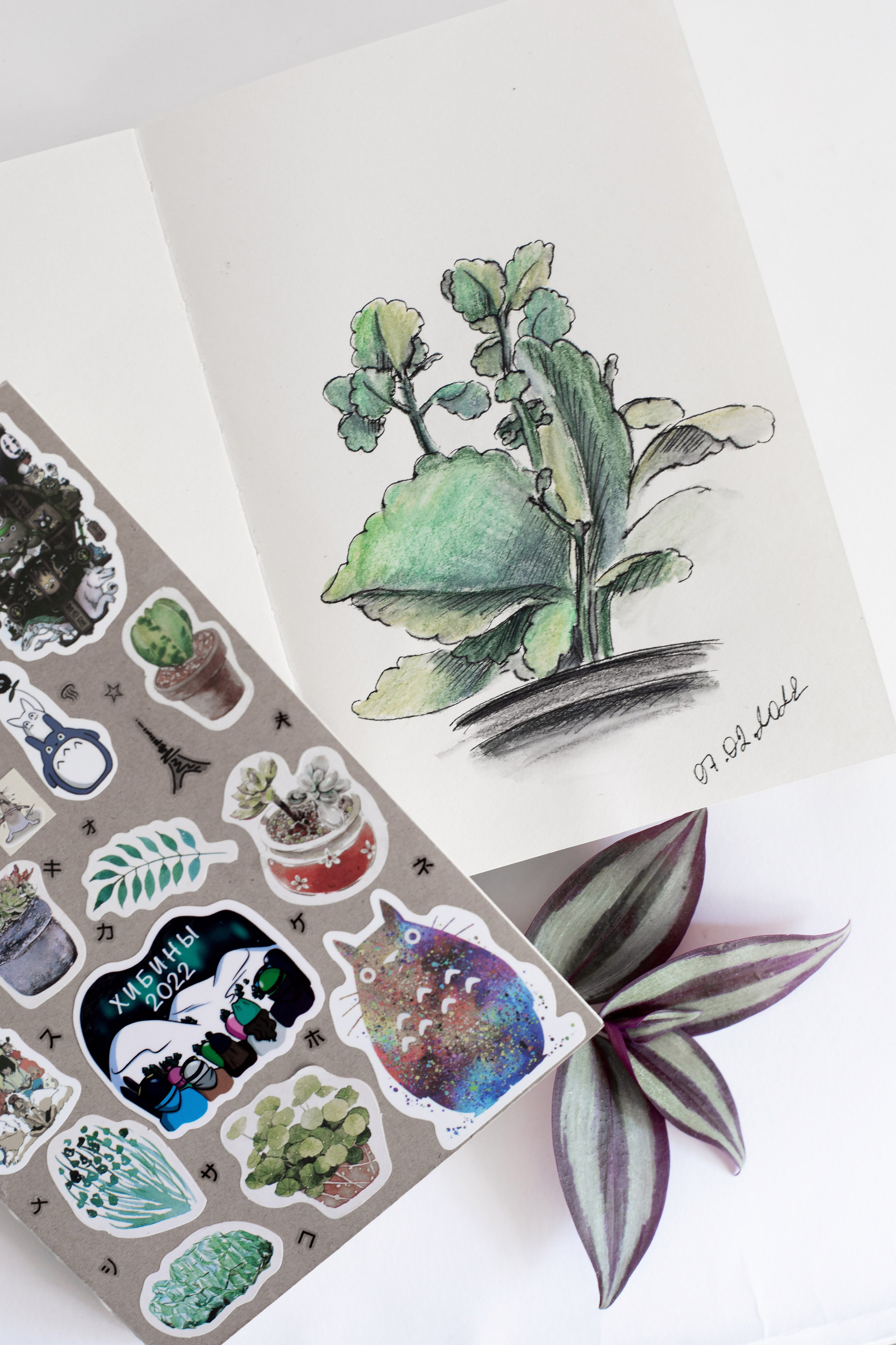 Контент для иллюстратора. SaGaFOTO.ru