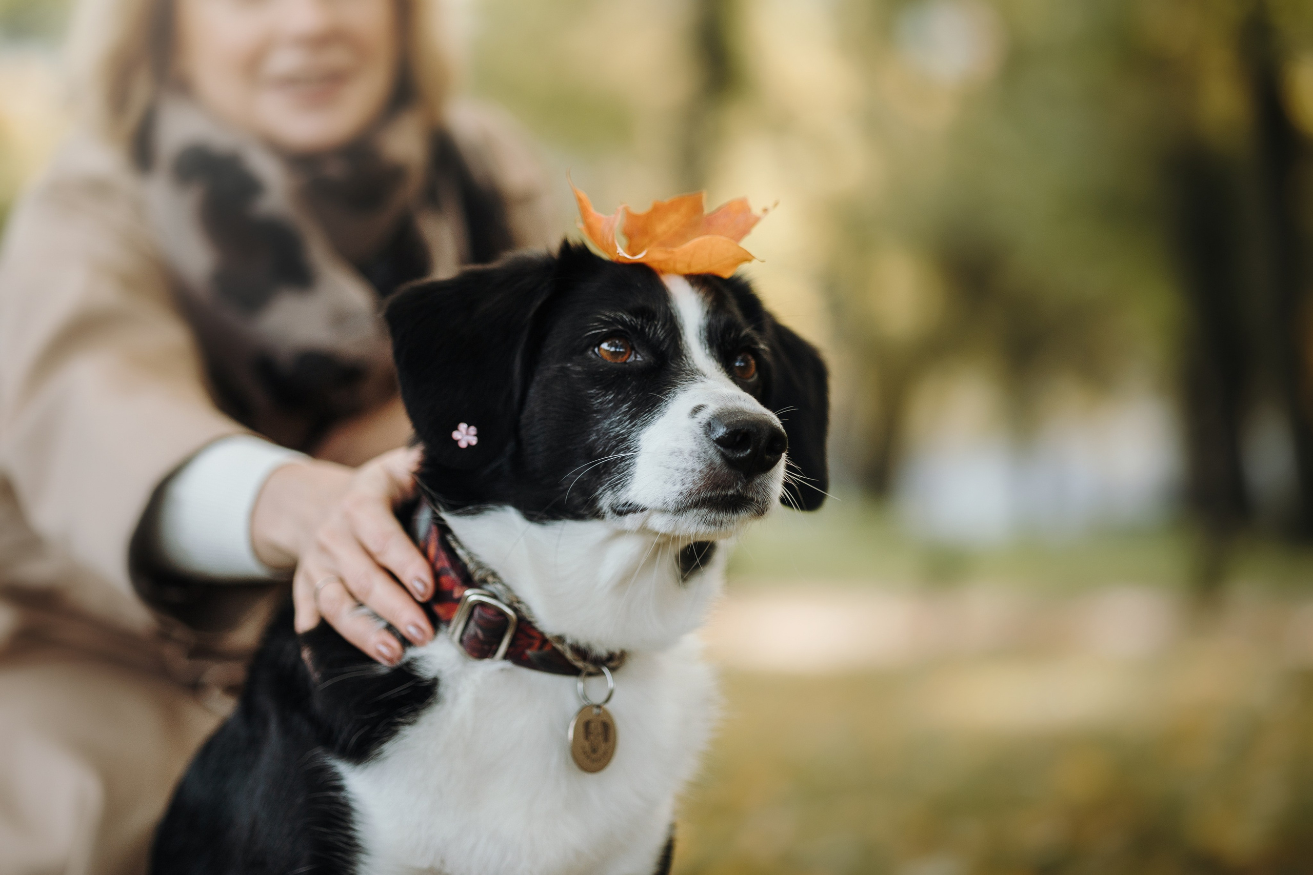Мишель и ее семья. Фотограф — Анималист | Санкт-Петербург