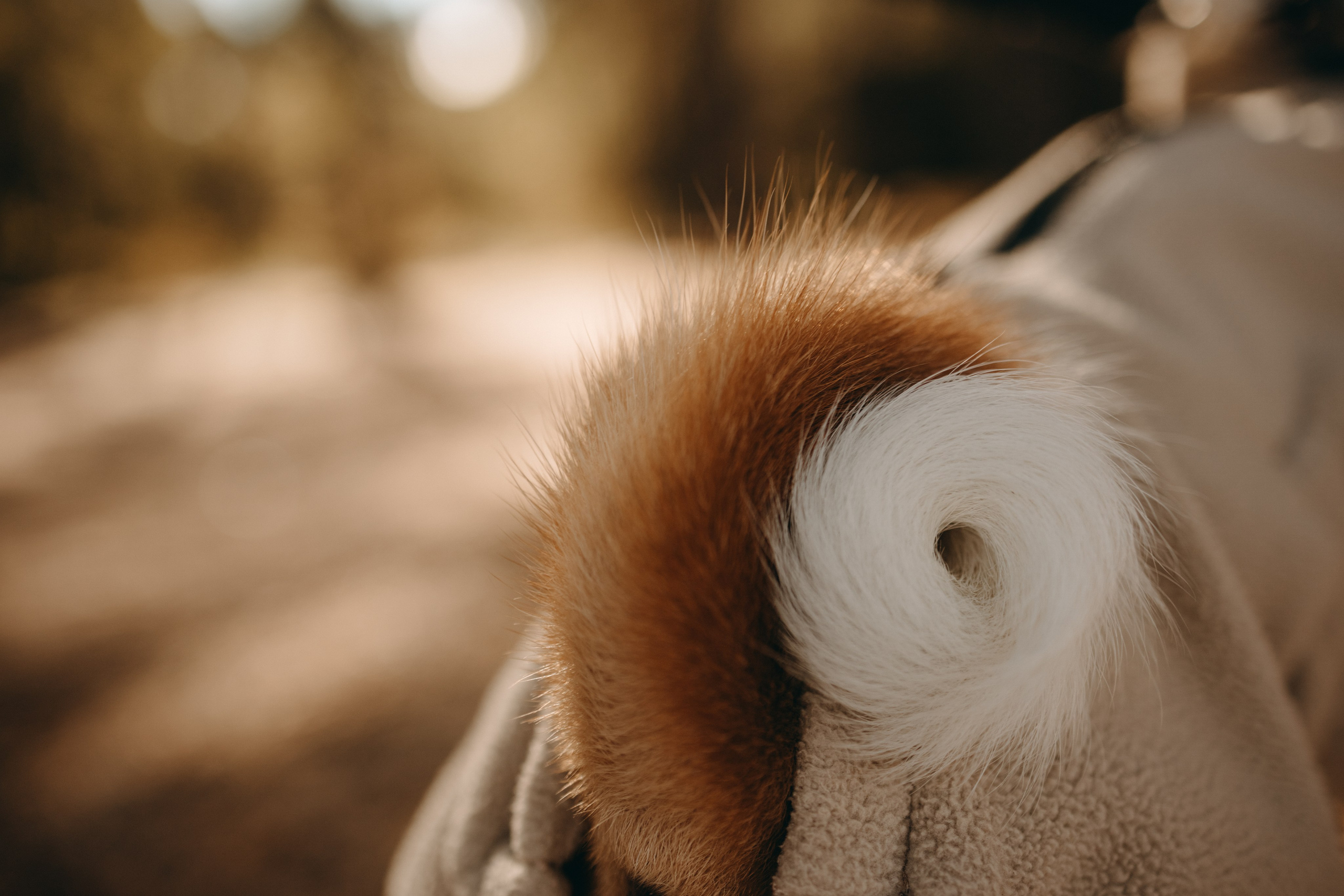 Алиса и Лео. Фотограф — Анималист | Санкт-Петербург