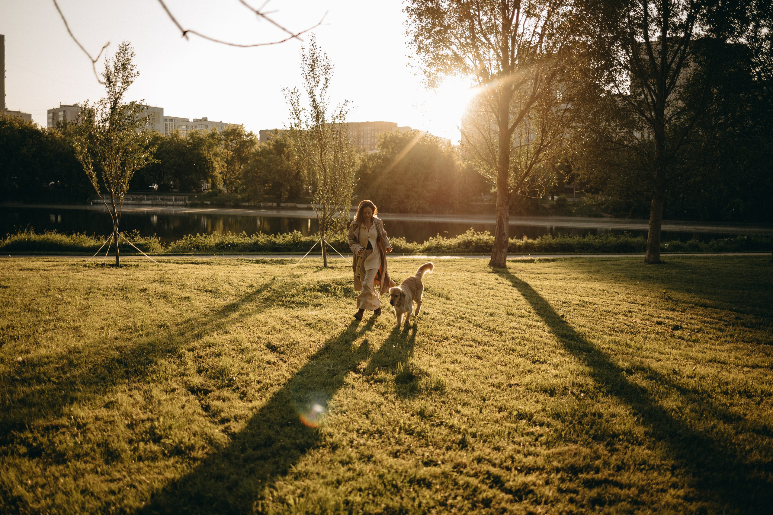 Пенни и ребята. Фотограф — Анималист | Санкт-Петербург