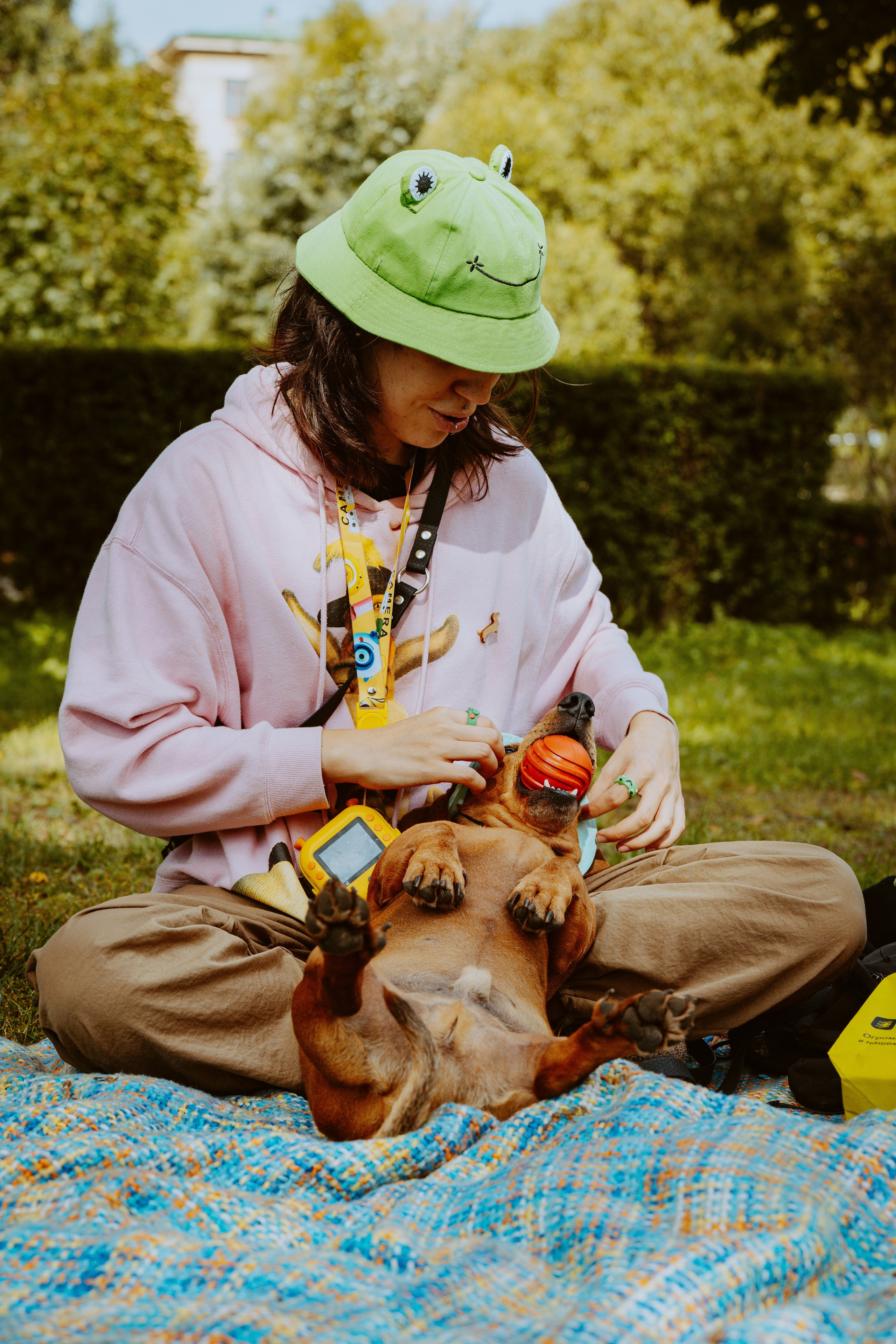 Такспарад. Фотограф анималист в Спб недорого Олеся Майорова