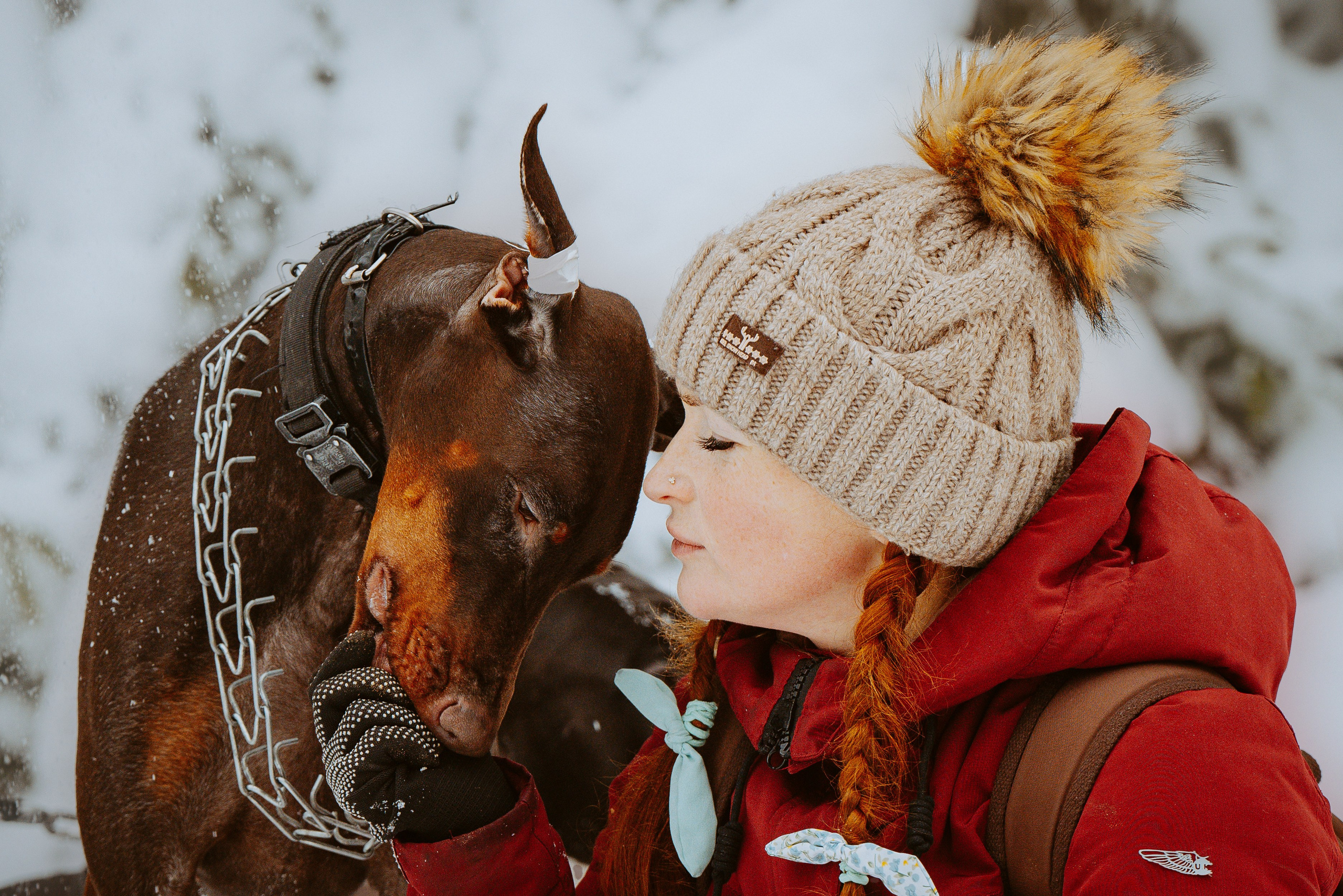 Дог трекинг. Фотограф анималист в Спб недорого Олеся Майорова
