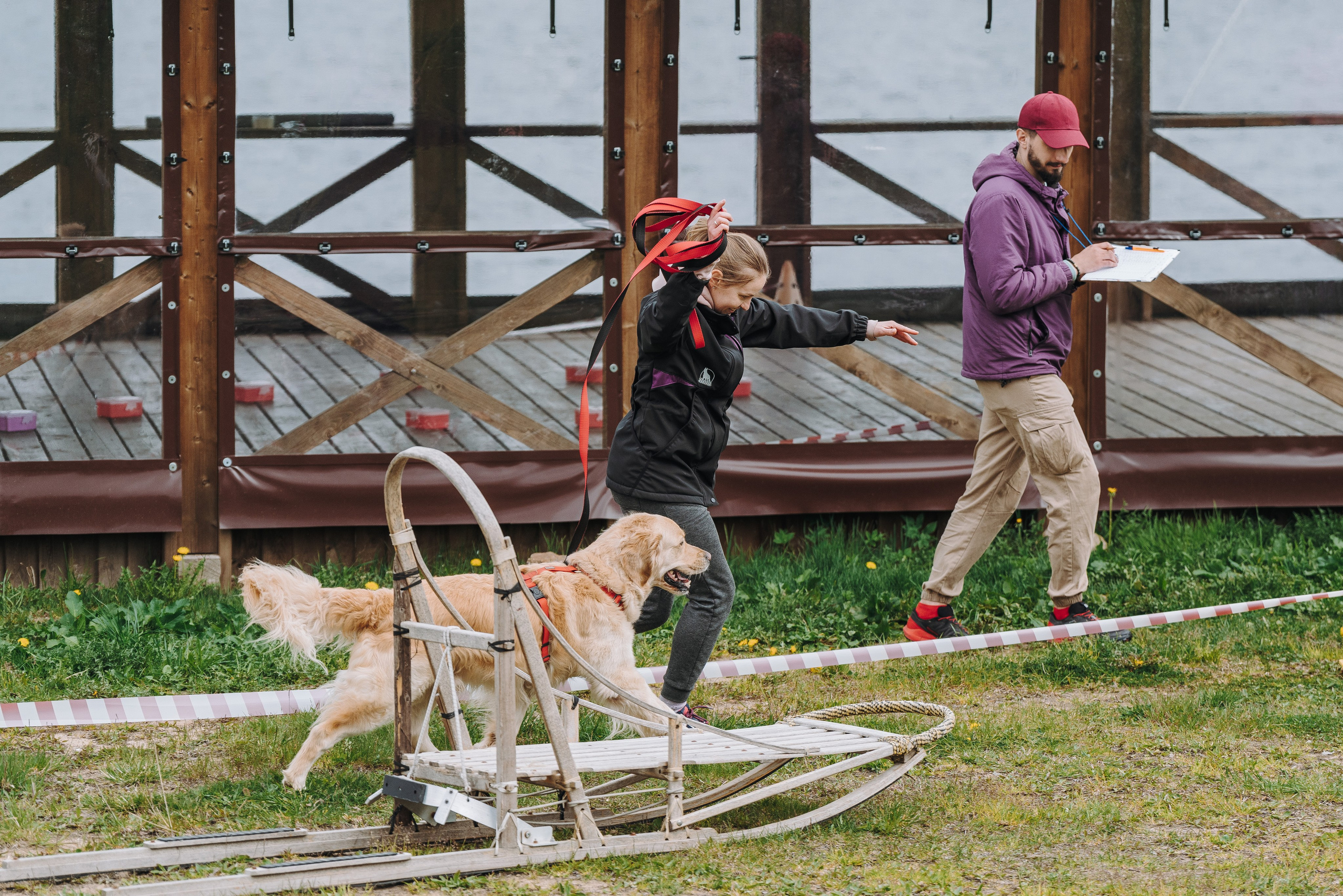 Соревнования по ноузворку в Лосево. Фотограф анималист в Спб недорого Олеся Майорова