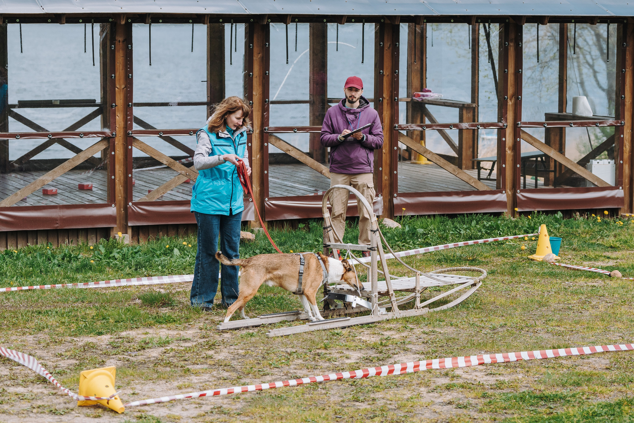Соревнования по ноузворку в Лосево. Фотограф анималист в Спб недорого Олеся Майорова