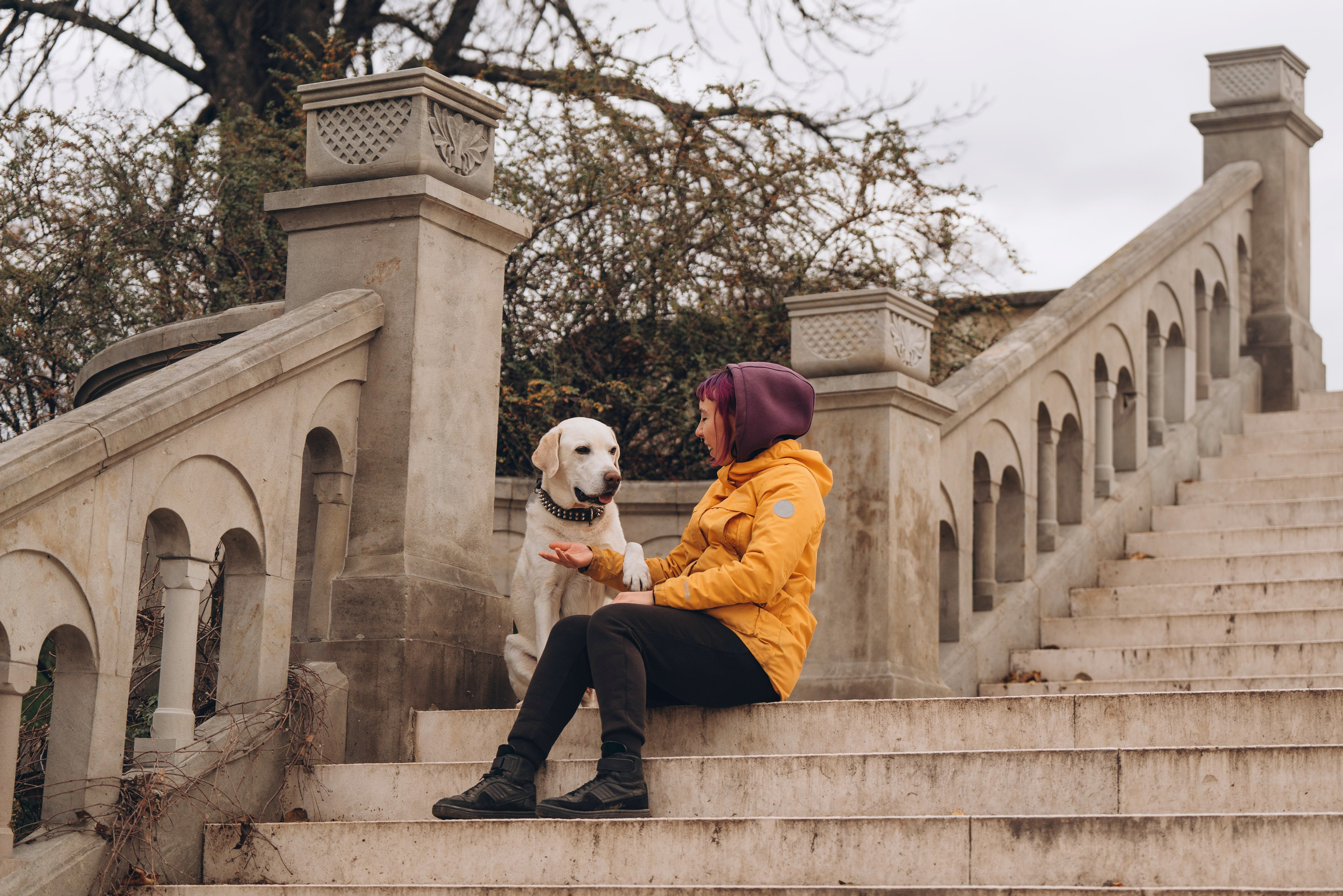 Вати, Лена и Леван. Фотограф анималист в Спб недорого Олеся Майорова