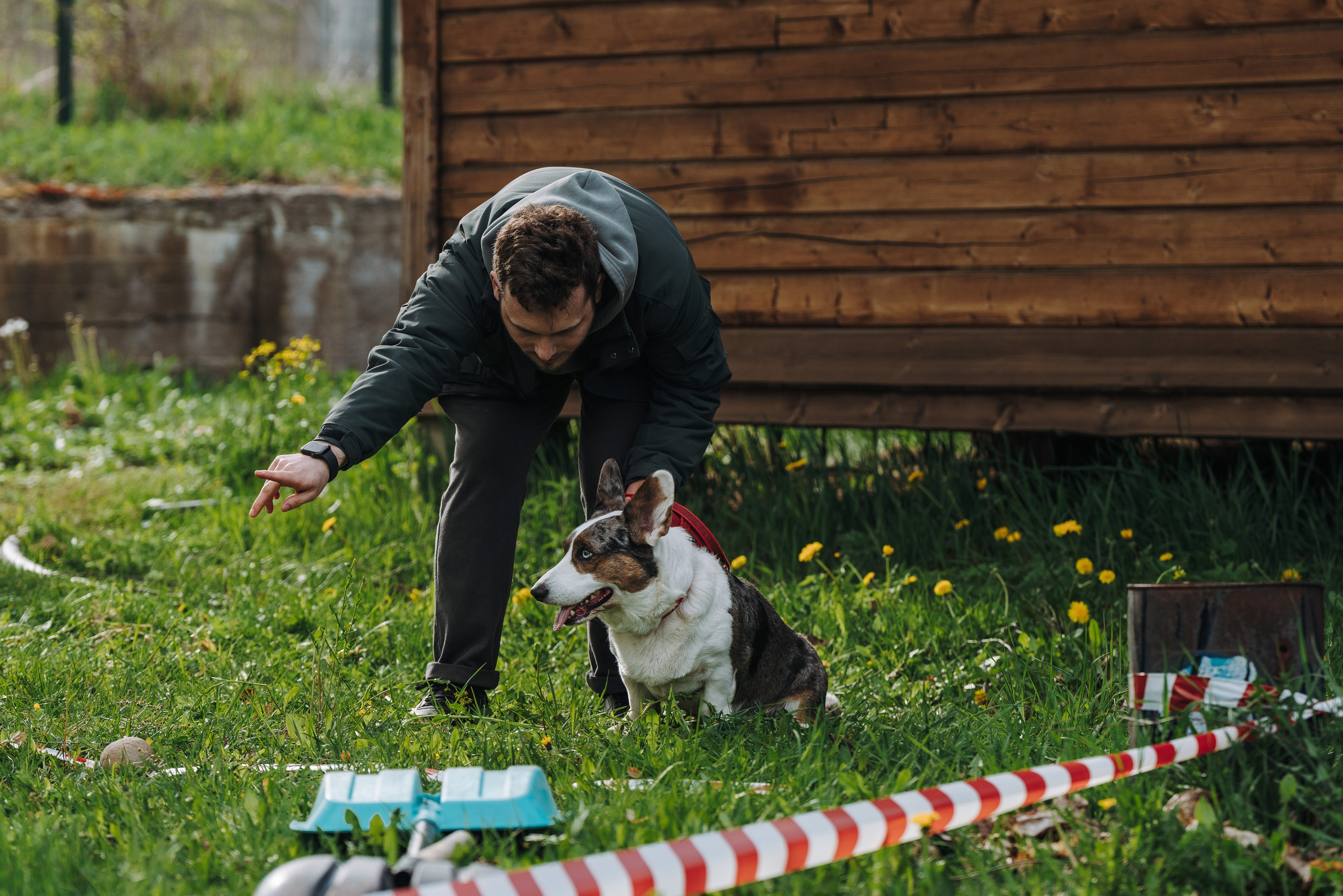 Соревнования по ноузворку в Лосево. Фотограф анималист в Спб недорого Олеся Майорова