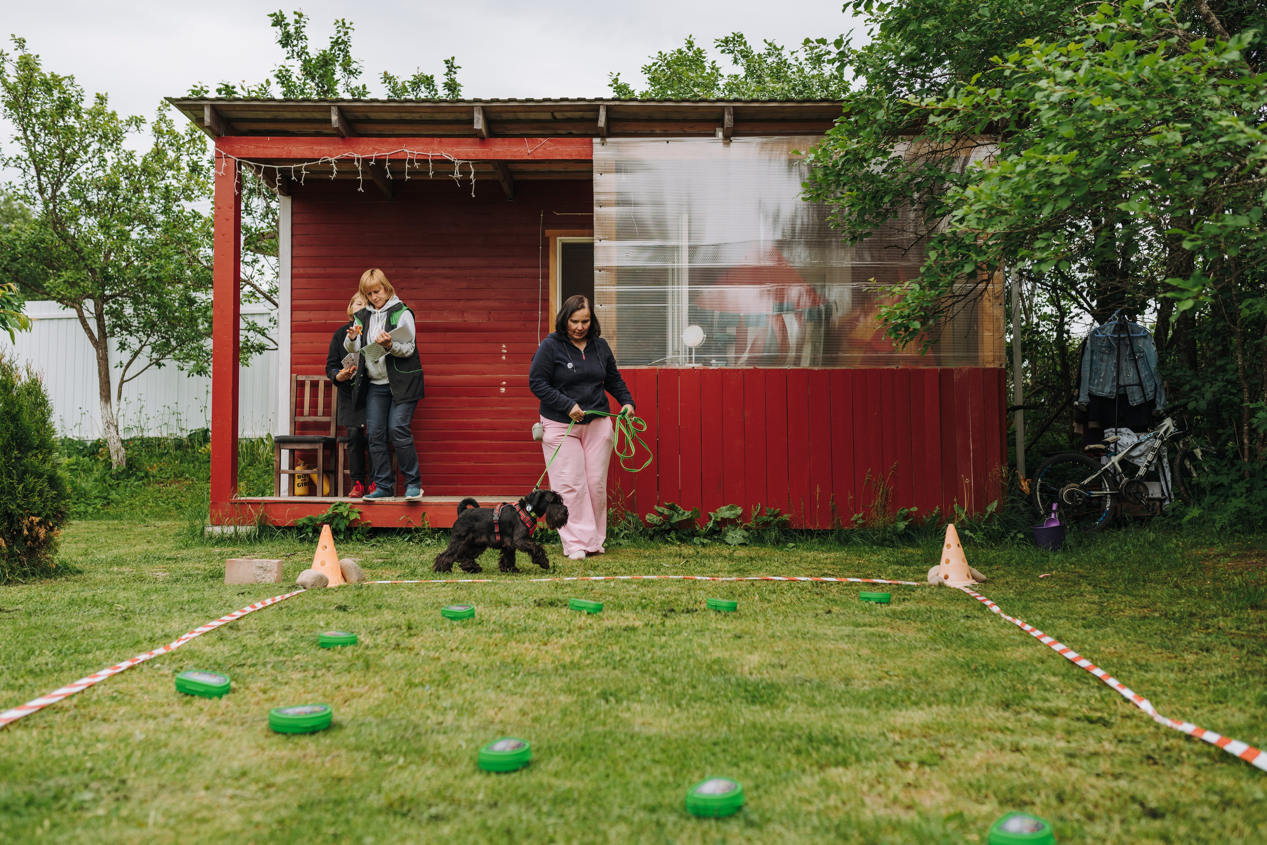 Соревнования по ноузворку. Фотограф анималист в Спб недорого Олеся Майорова