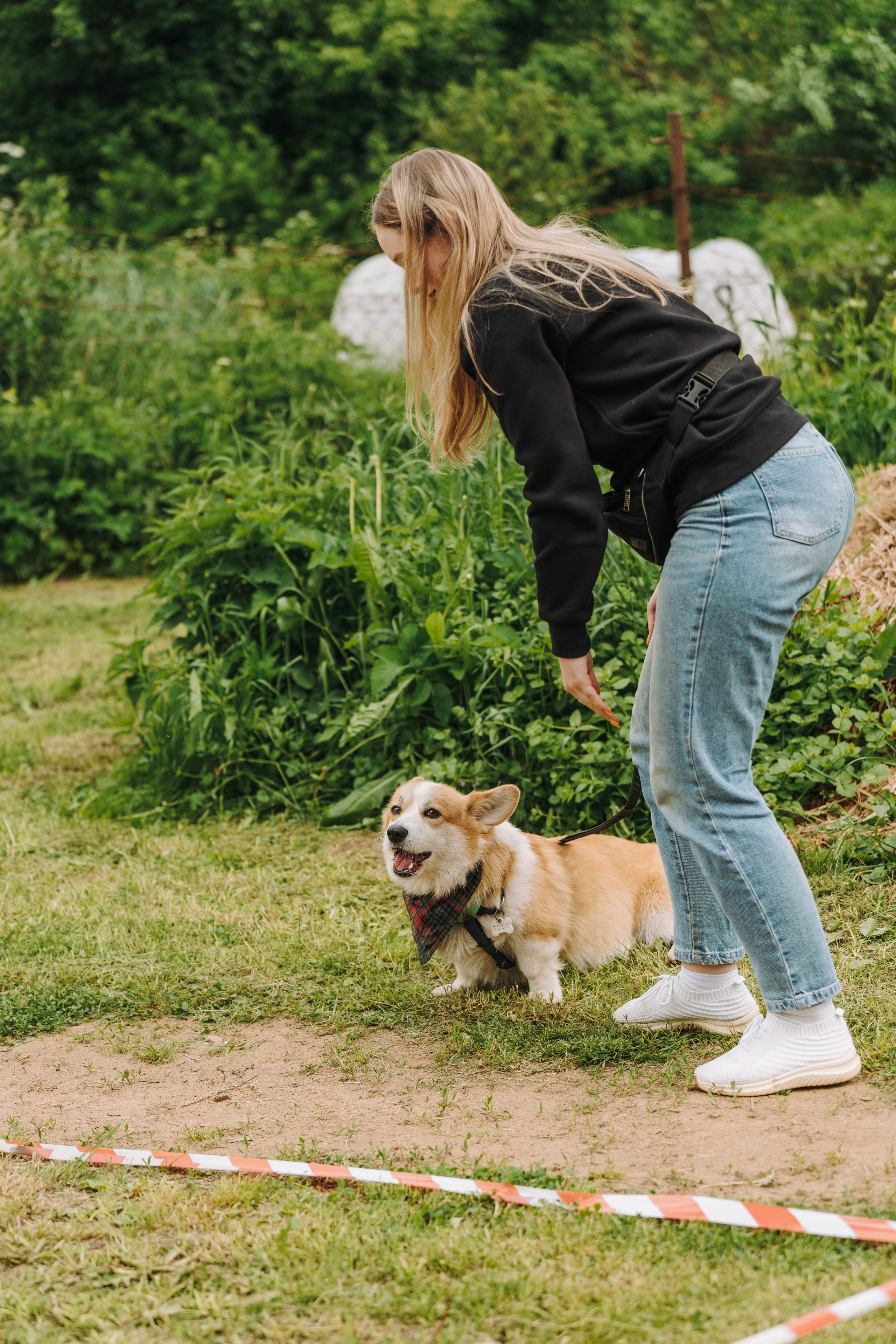 Соревнования по ноузворку. Фотограф анималист в Спб недорого Олеся Майорова
