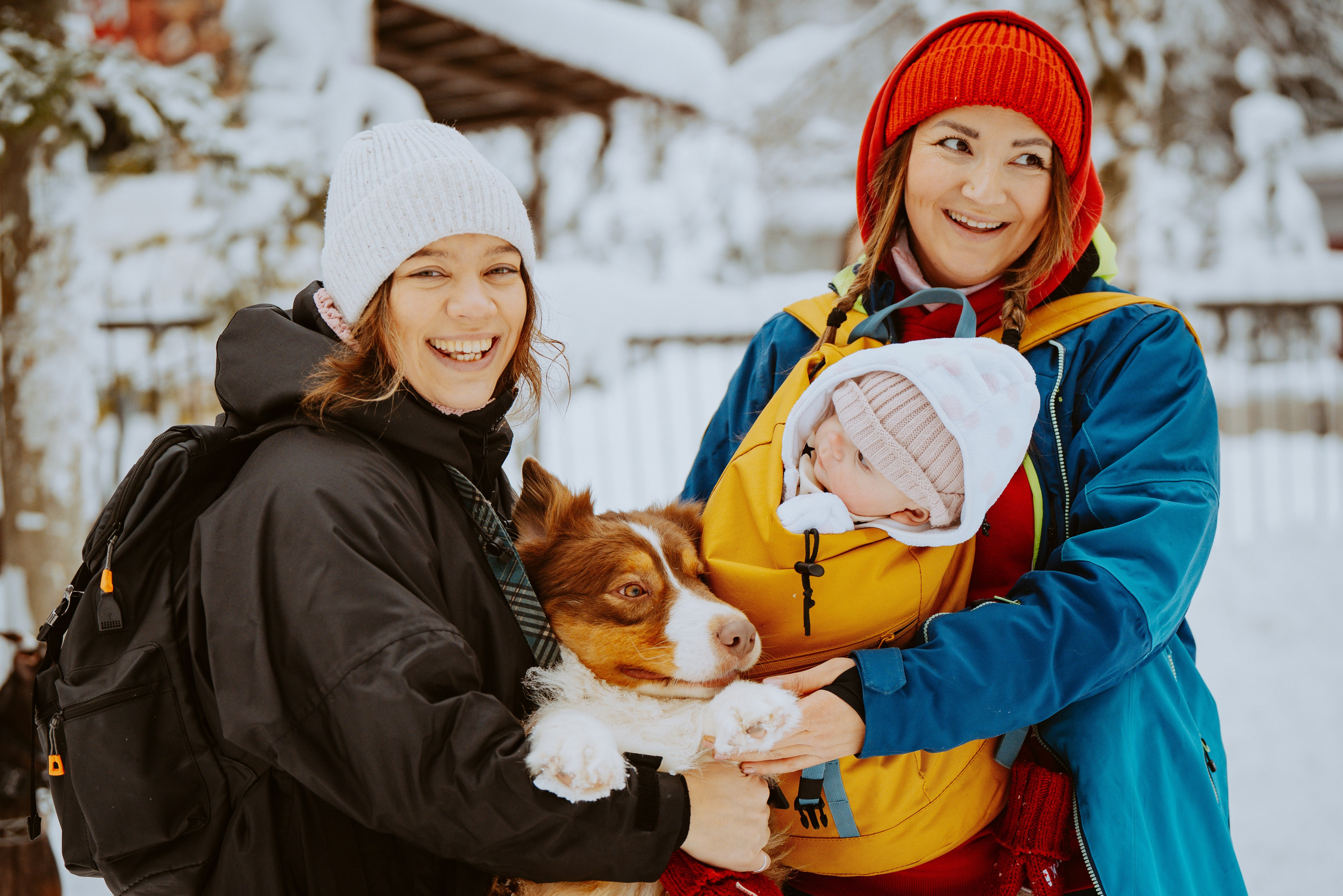 Дог трекинг. Фотограф анималист в Спб недорого Олеся Майорова